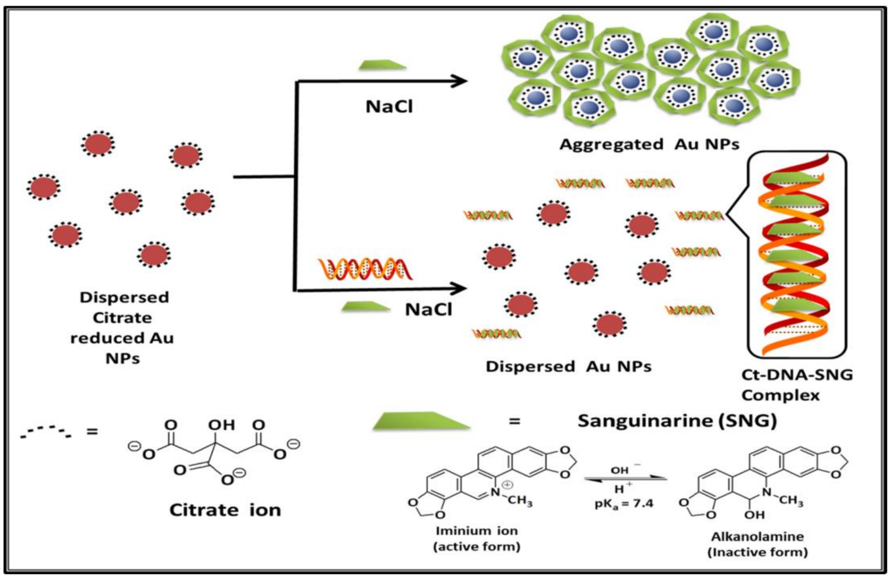 Chemosensors 10 00536 g017 Chemosensors 10 00536 g017