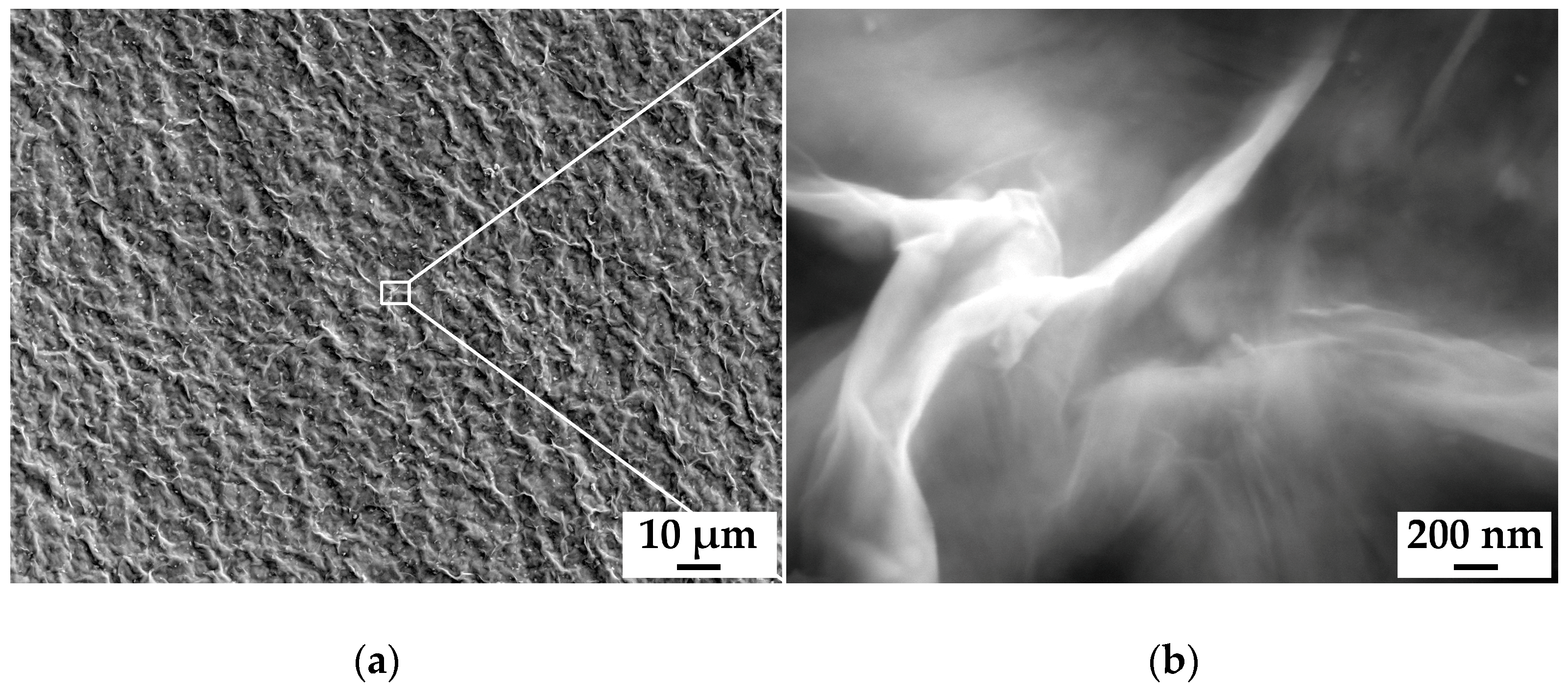 Chemosensors 11 00007 g004