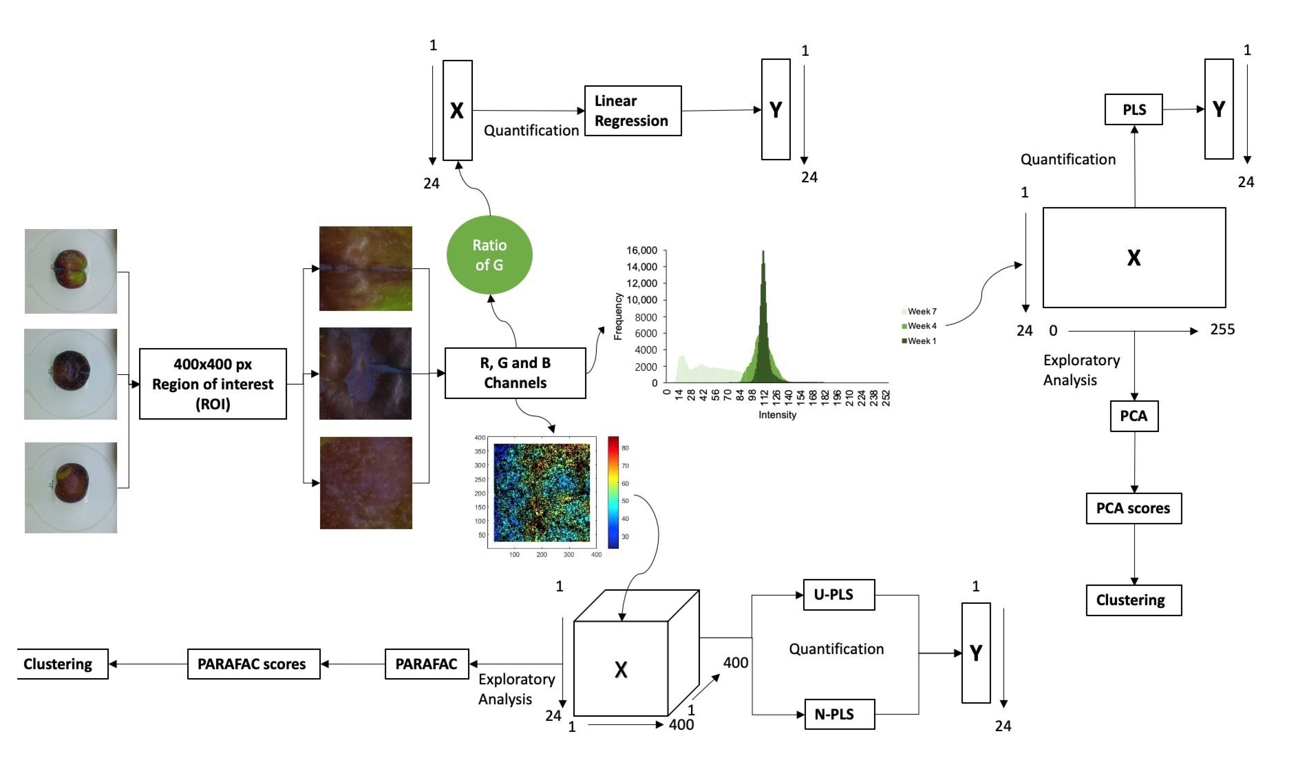 Chemosensors 11 00009 g001
