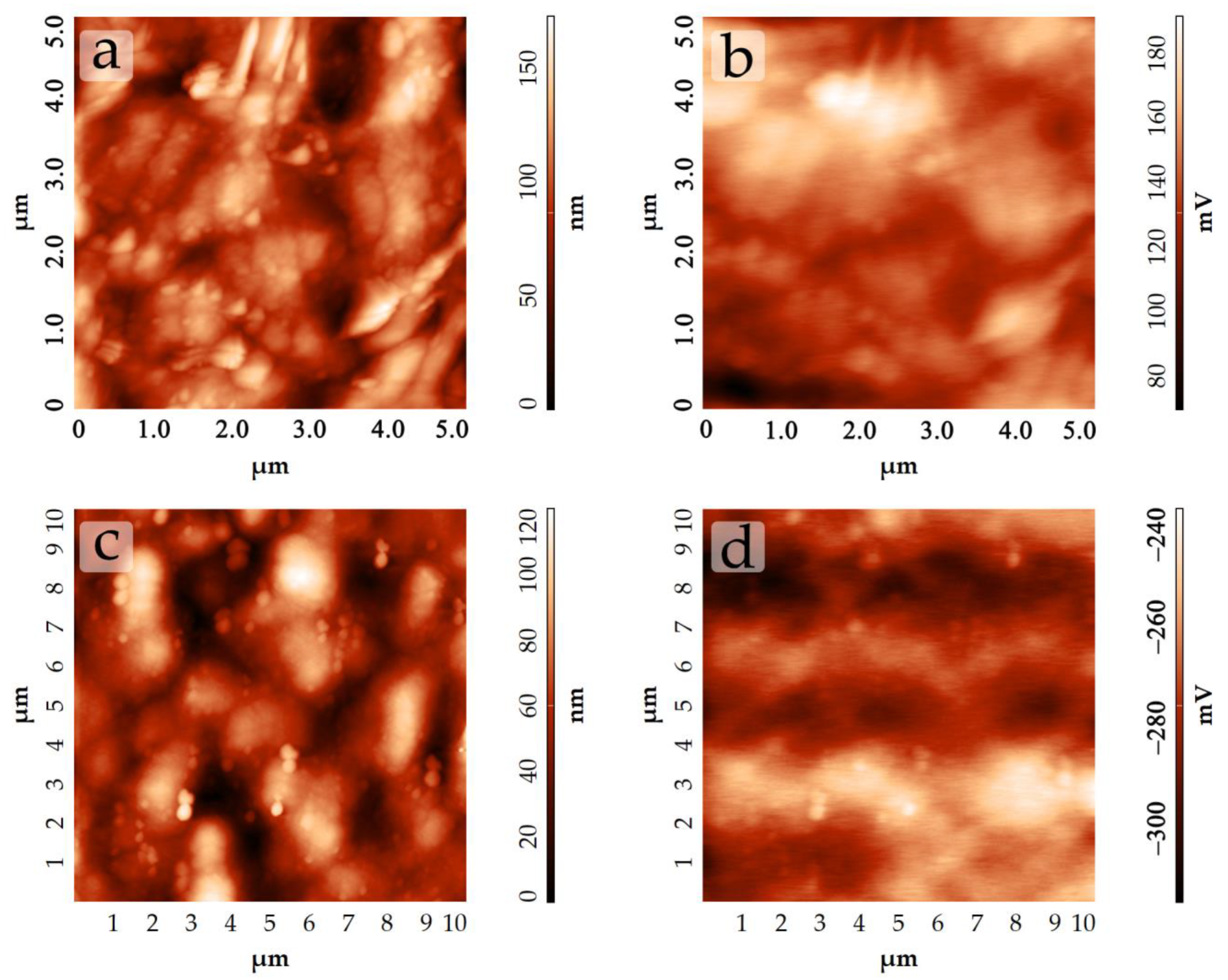 Chemosensors 11 00013 g005 Chemosensors 11 00013 g005