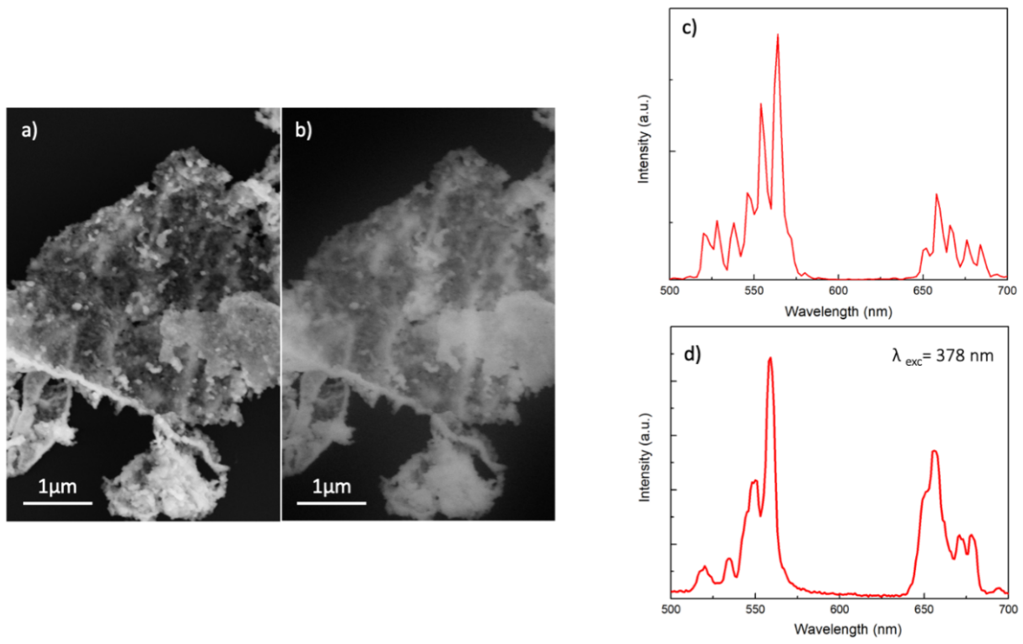 Chemosensors 11 00020 g008 Chemosensors 11 00020 g008