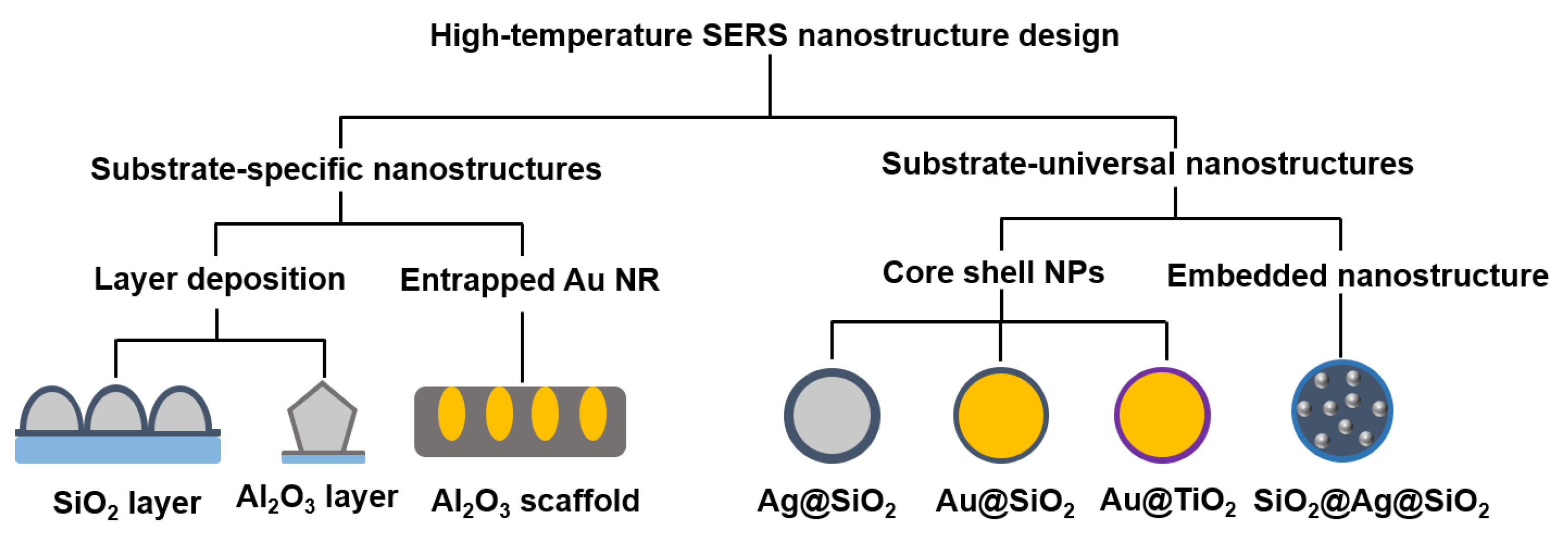 Chemosensors 11 00021 g001