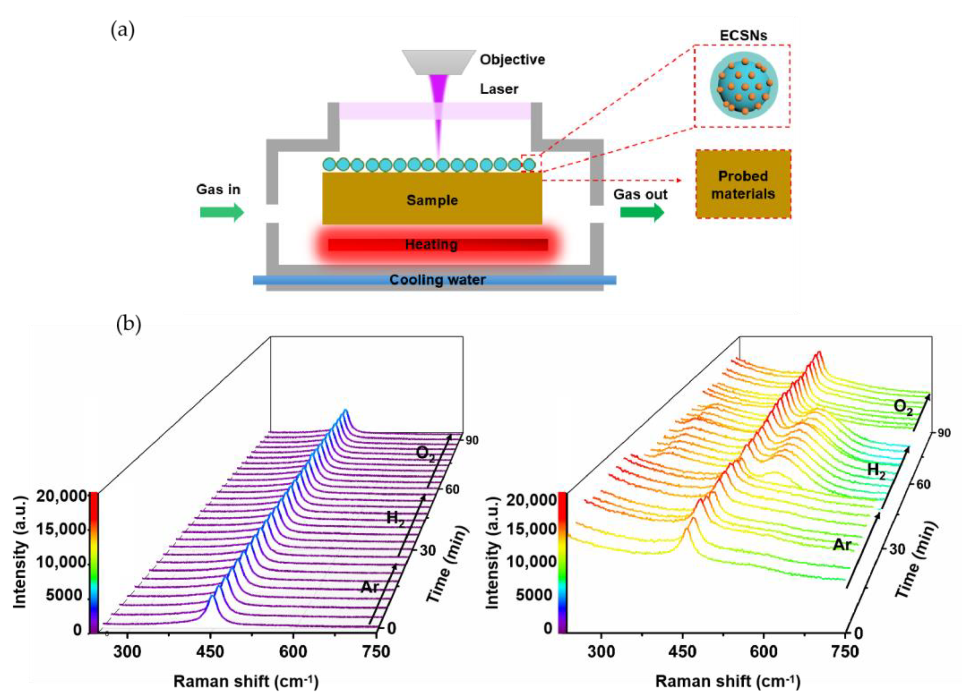 Chemosensors 11 00021 g004