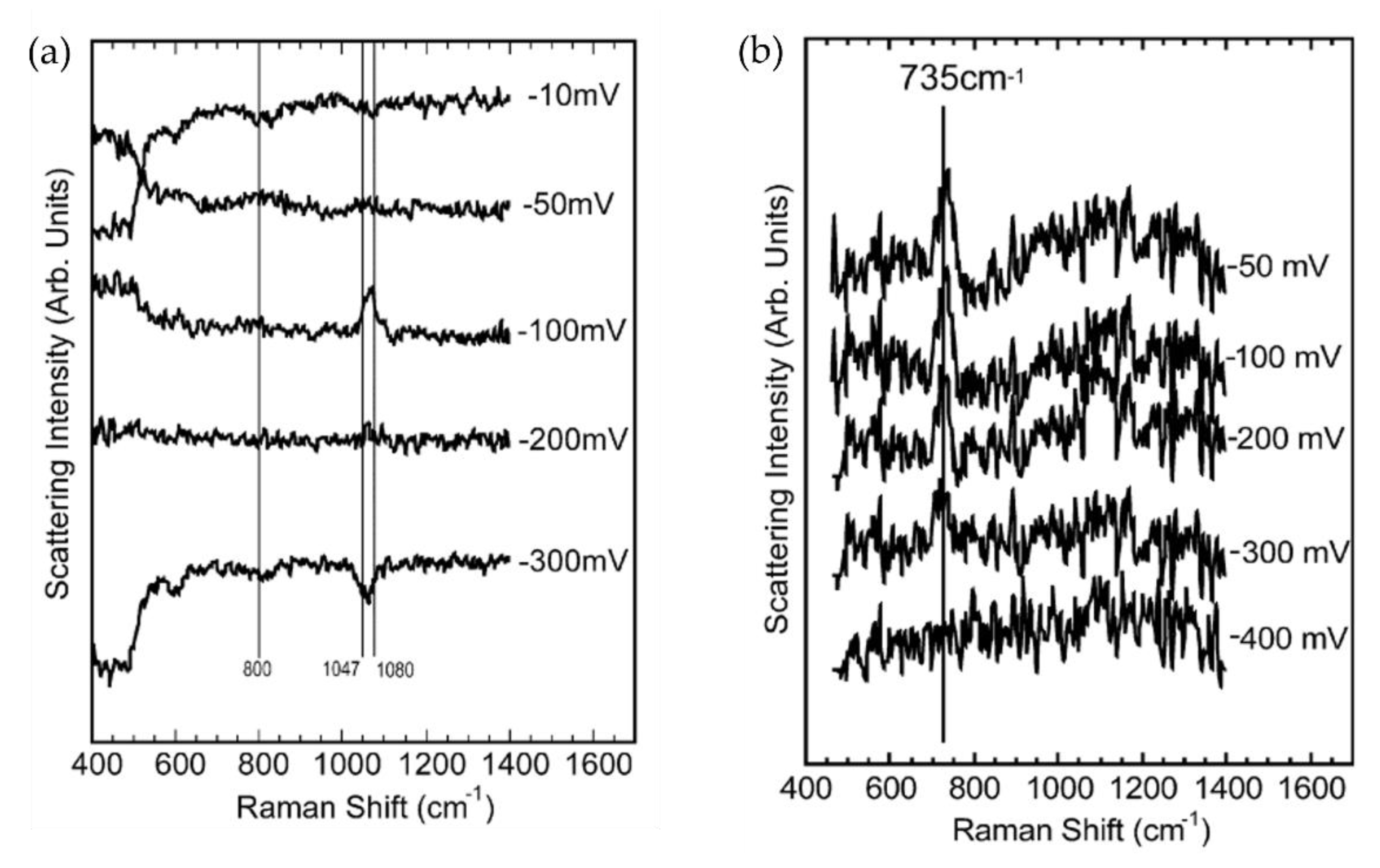 Chemosensors 11 00021 g010