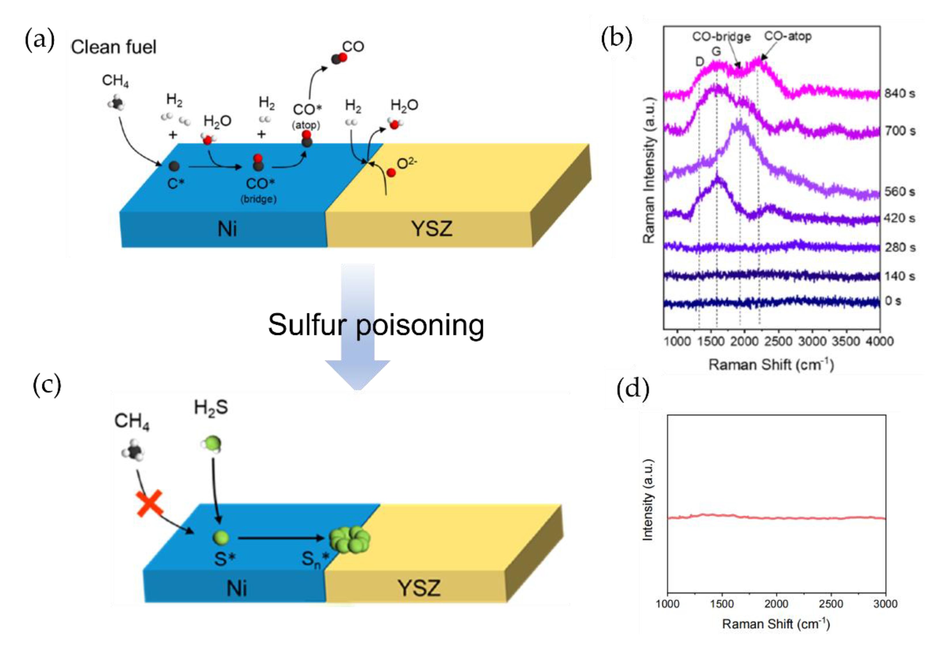 Chemosensors 11 00021 g012