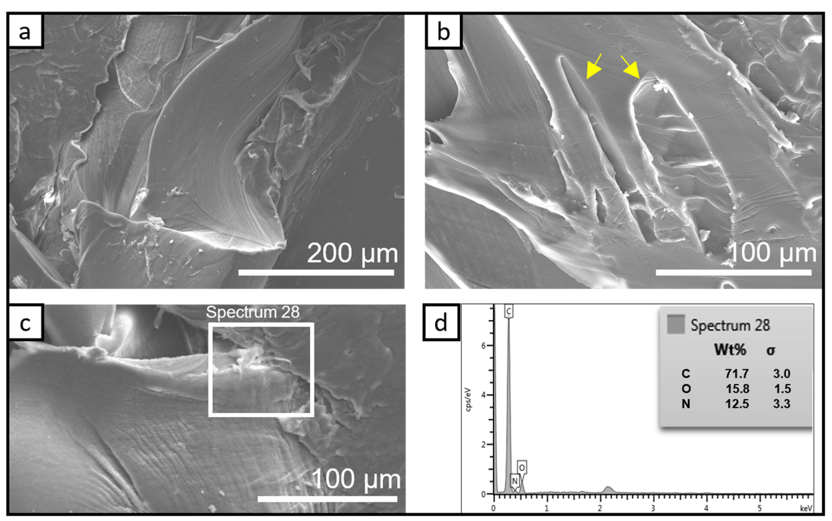 Chemosensors 11 00028 g001