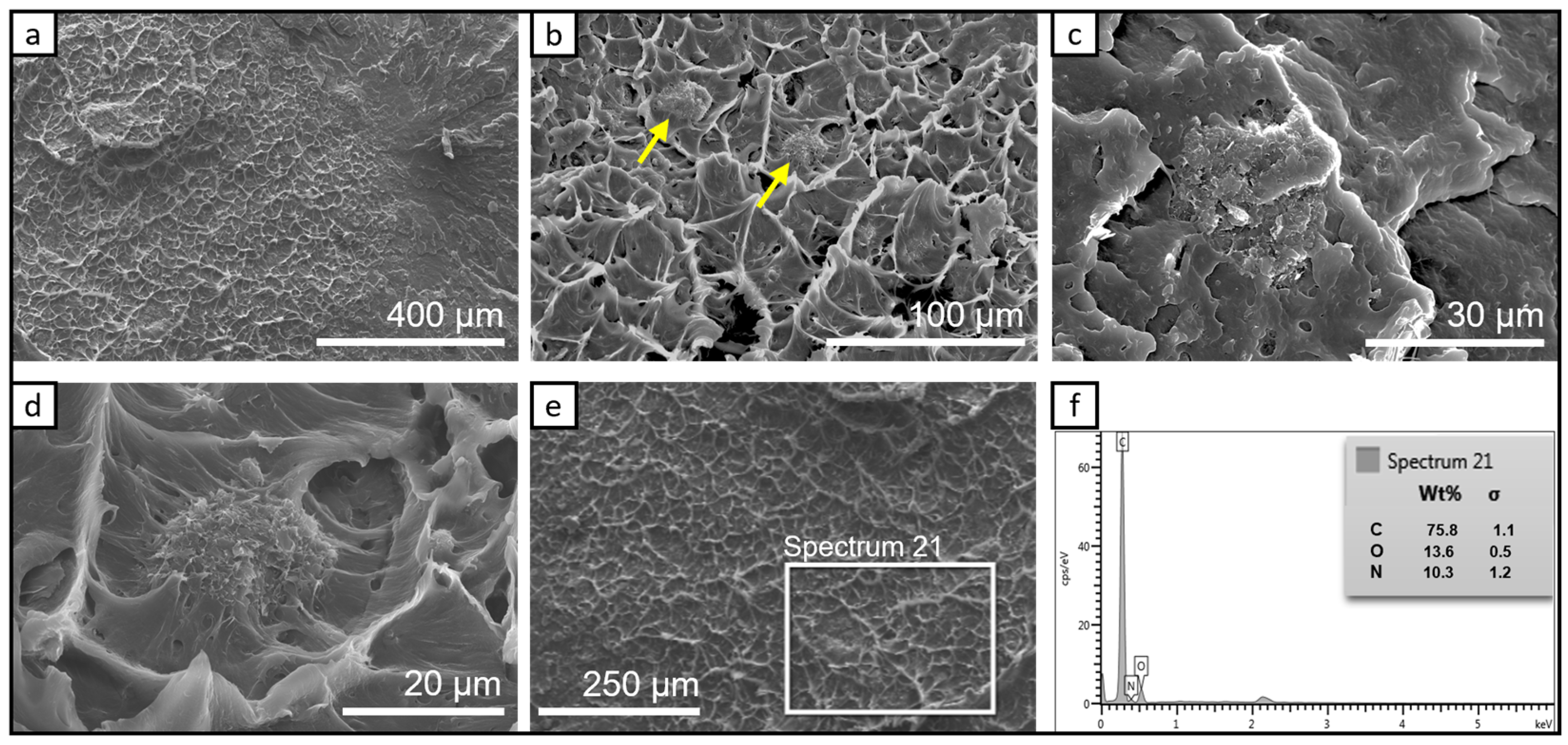 Chemosensors 11 00028 g003