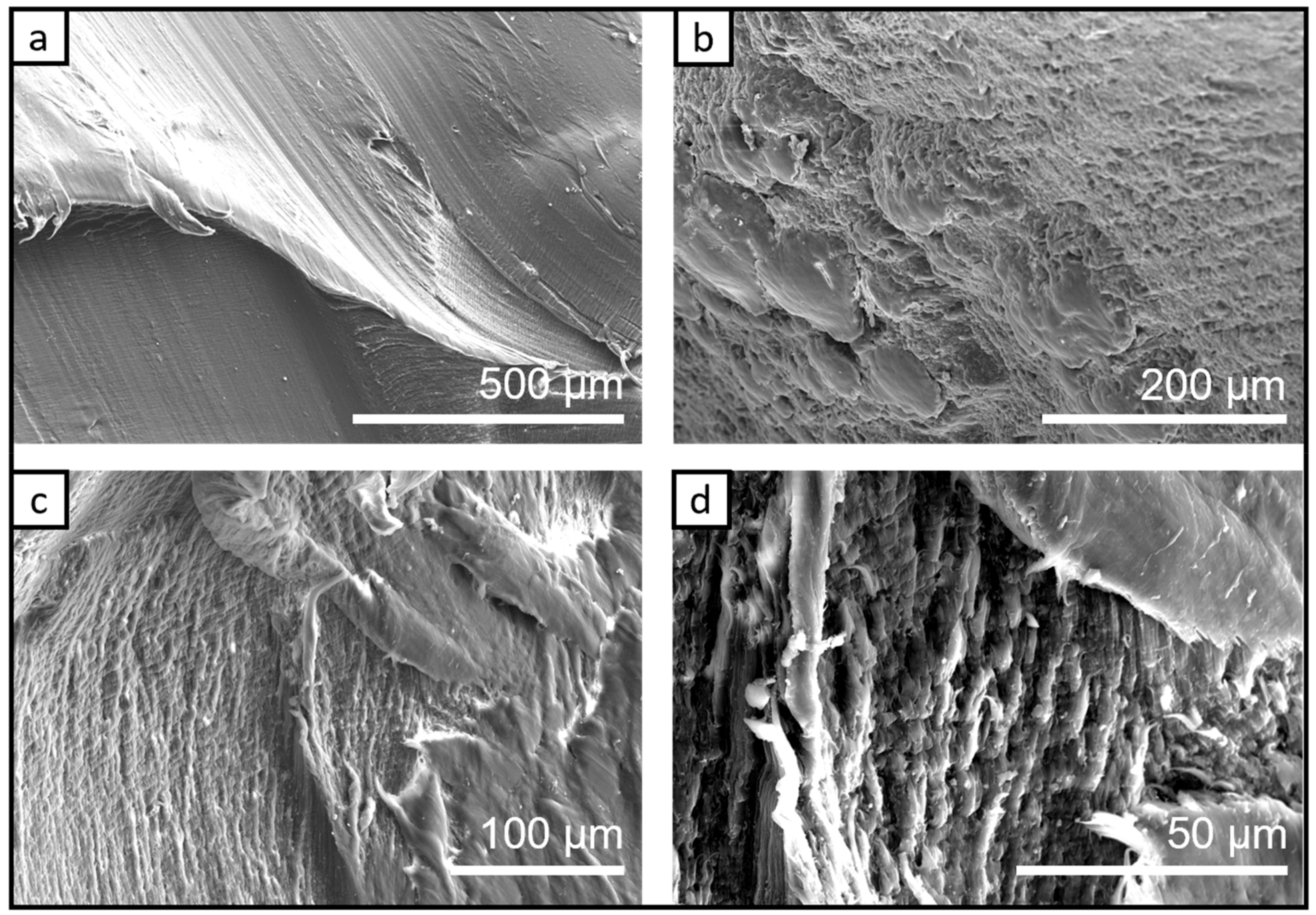 Chemosensors 11 00028 g004