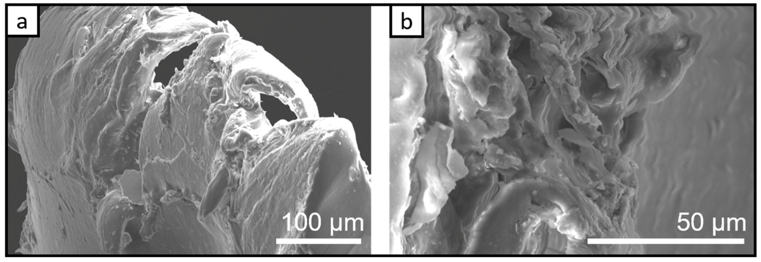 Chemosensors 11 00028 g006