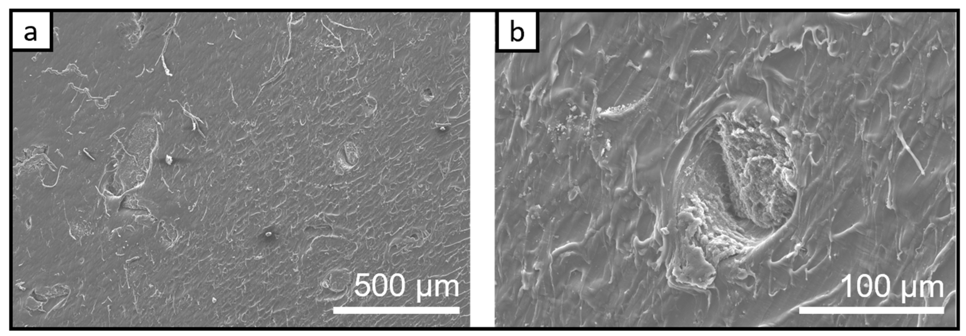 Chemosensors 11 00028 g007