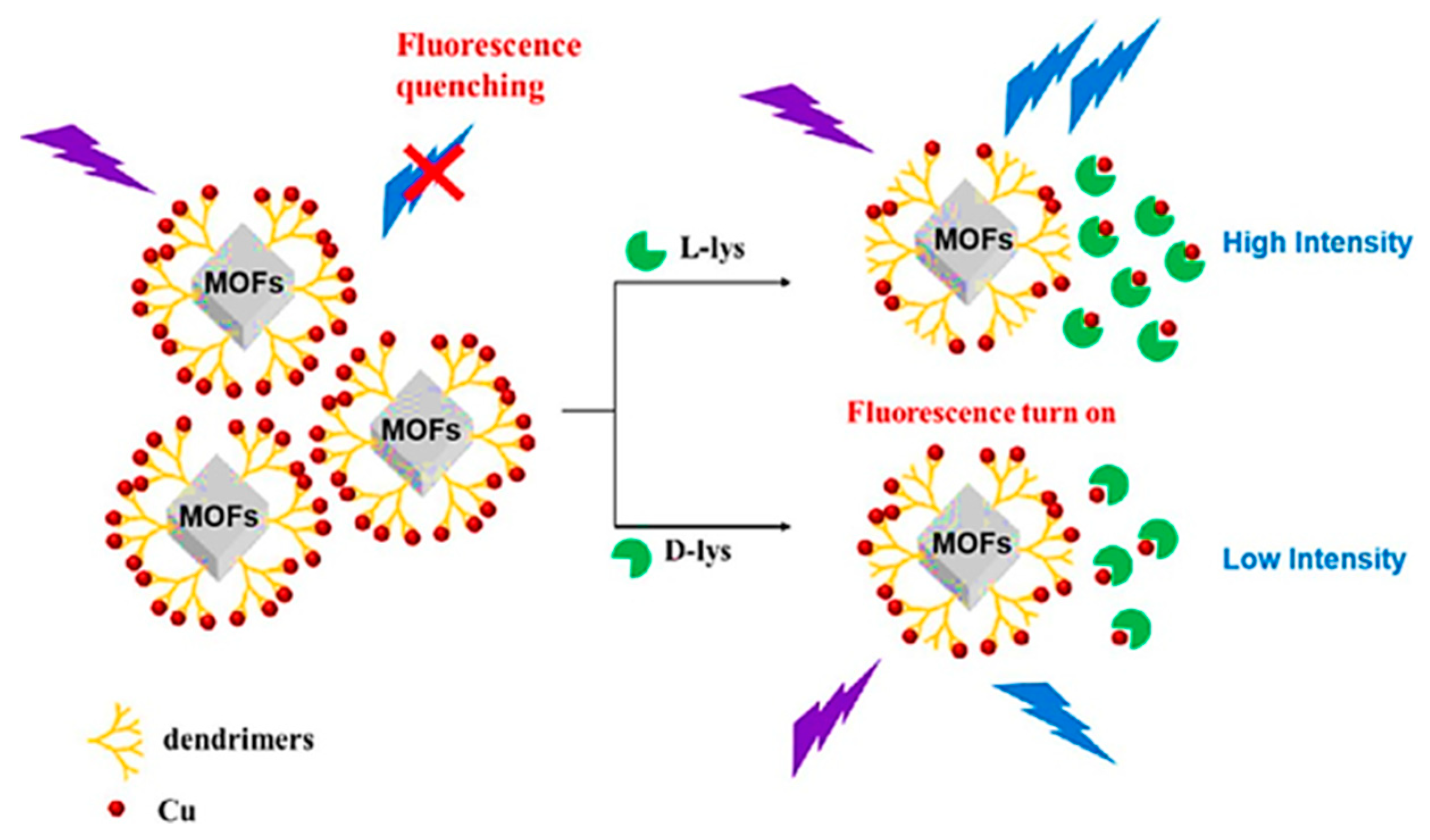 Chemosensors 11 00029 g005