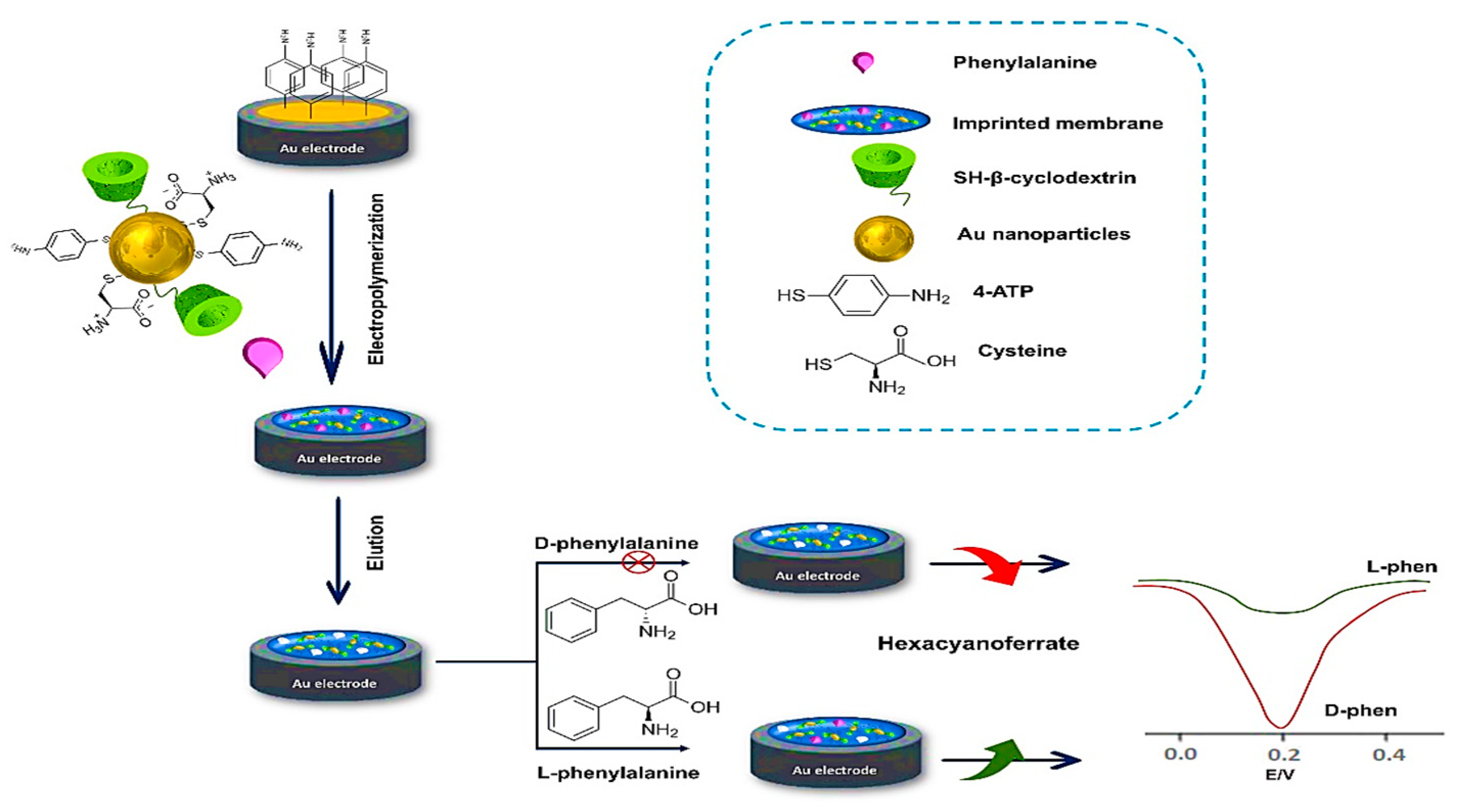 Chemosensors 11 00029 g007