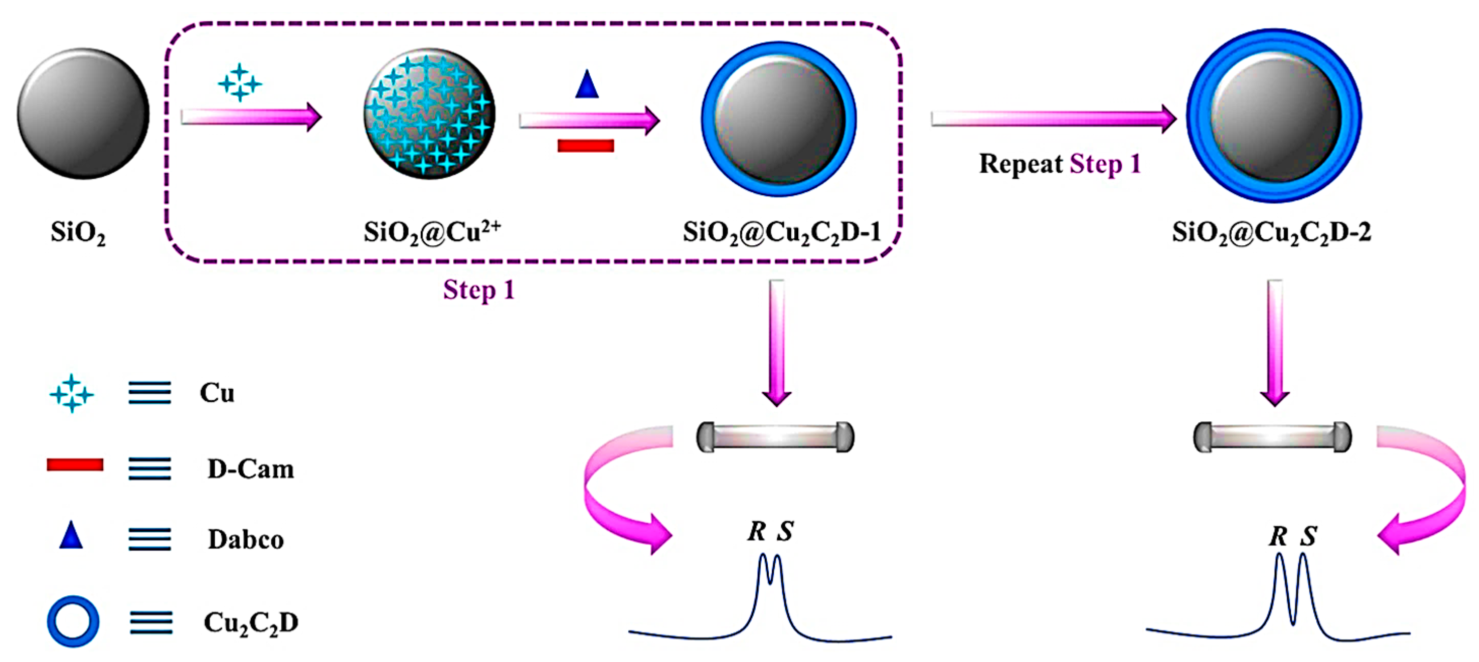 Chemosensors 11 00029 g013