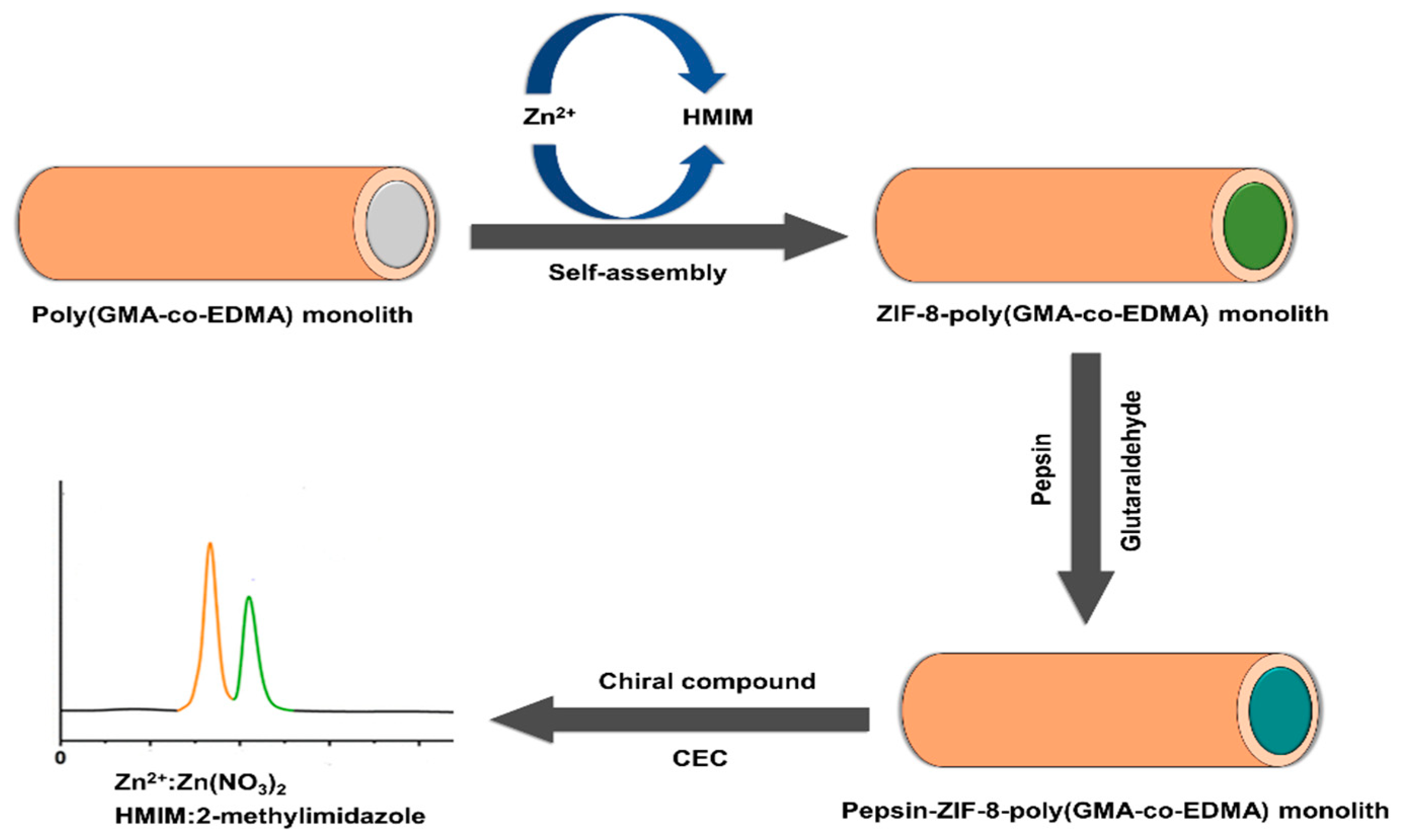 Chemosensors 11 00029 g018