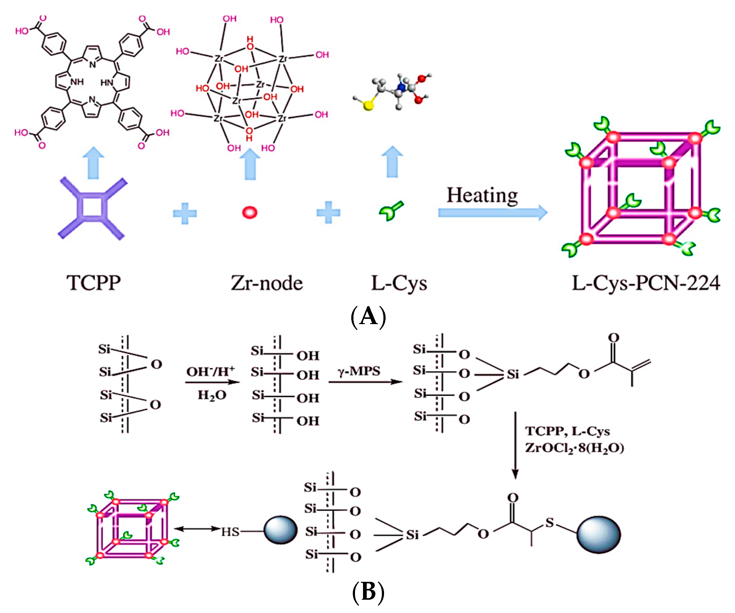 Chemosensors 11 00029 g020