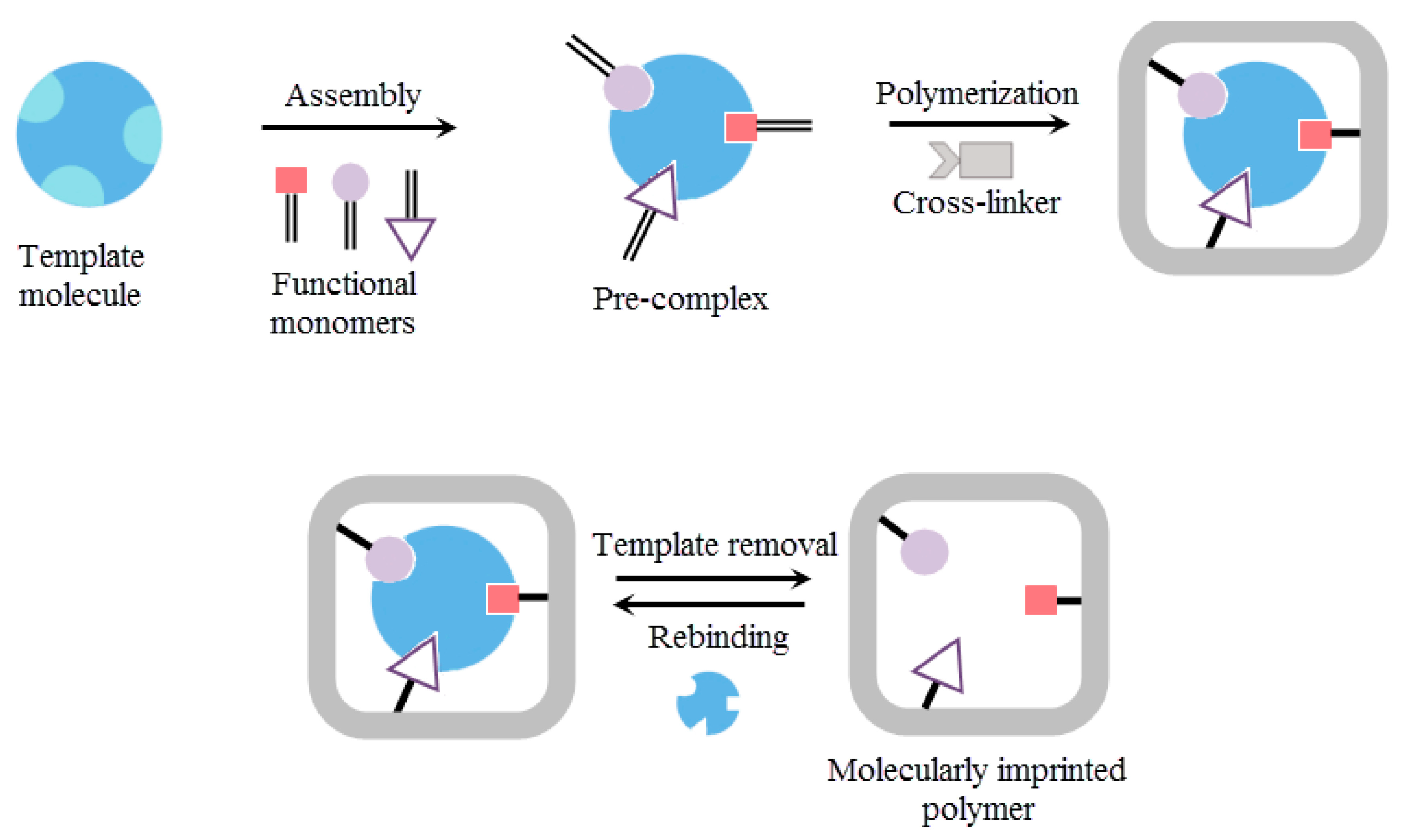 Chemosensors 11 00032 g002