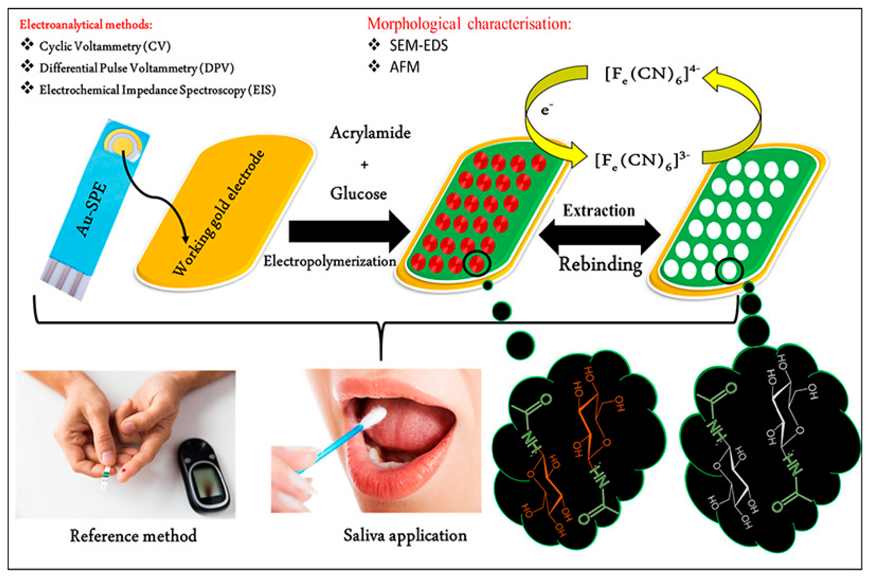 Chemosensors 11 00032 g004