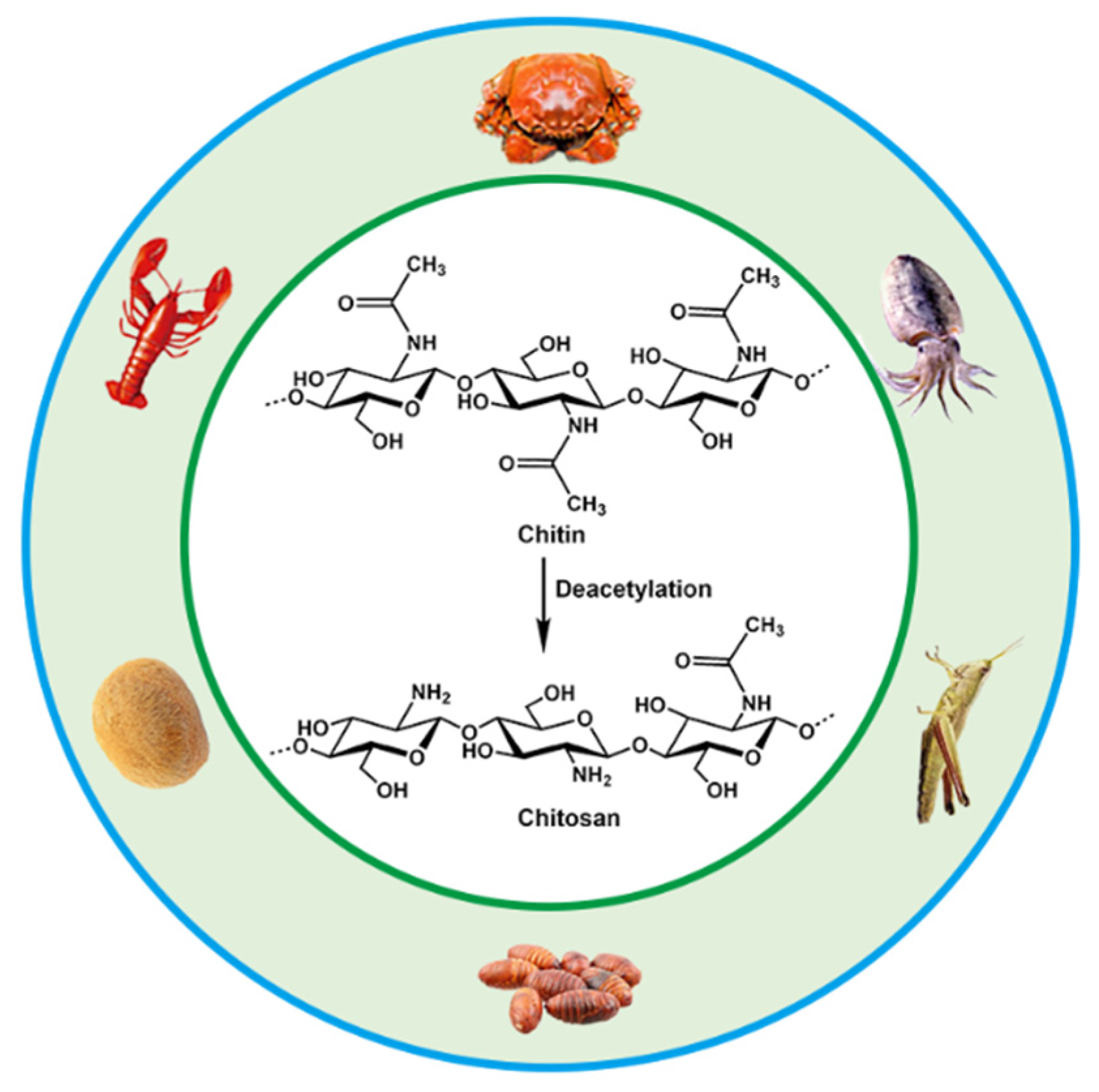 Chemosensors 11 00039 g001