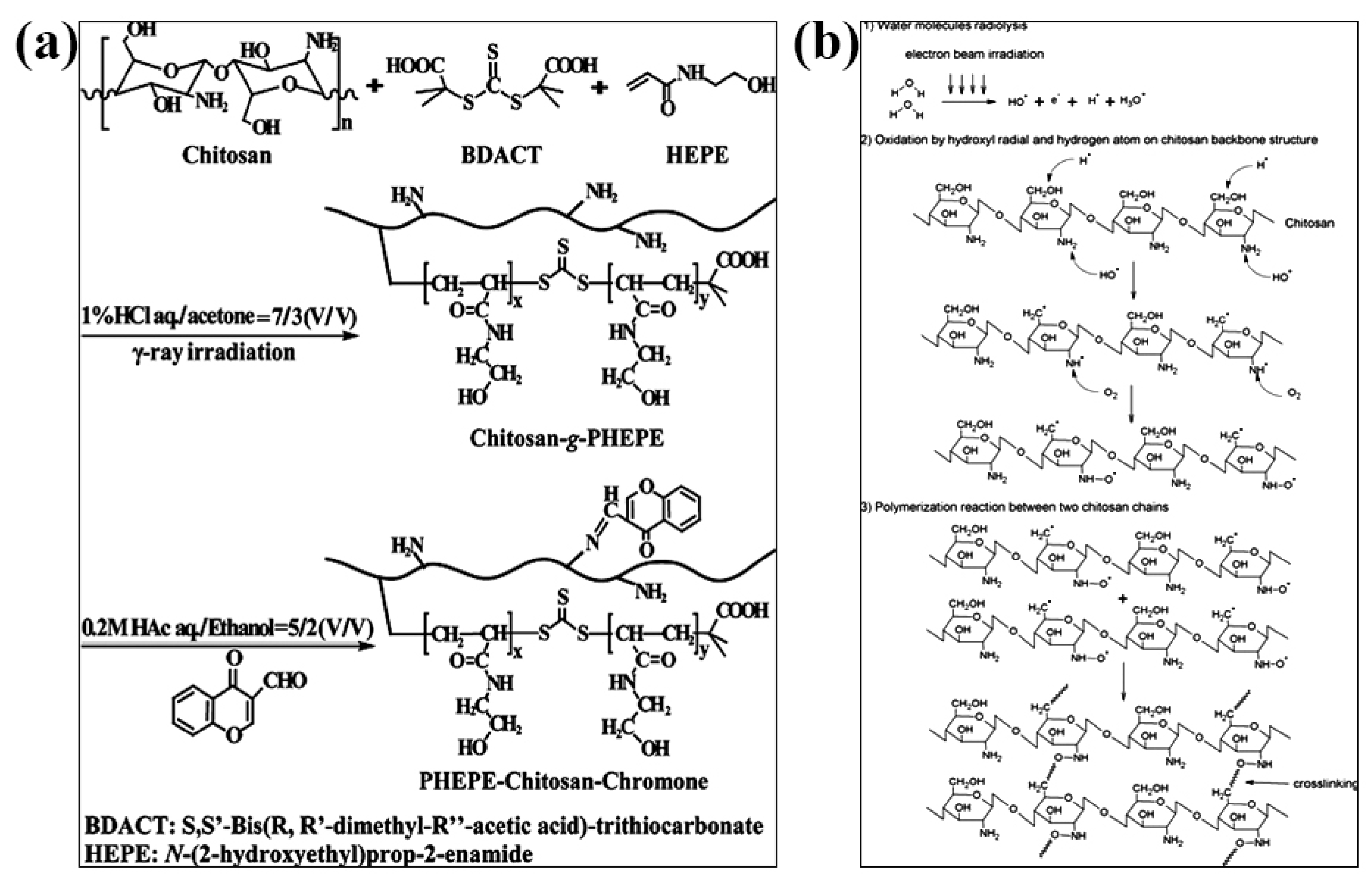 Chemosensors 11 00039 g004