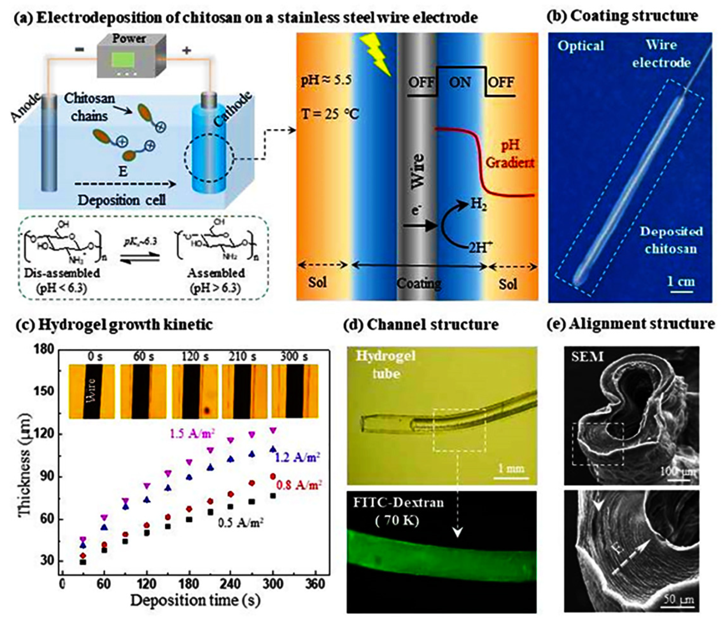 Chemosensors 11 00039 g005