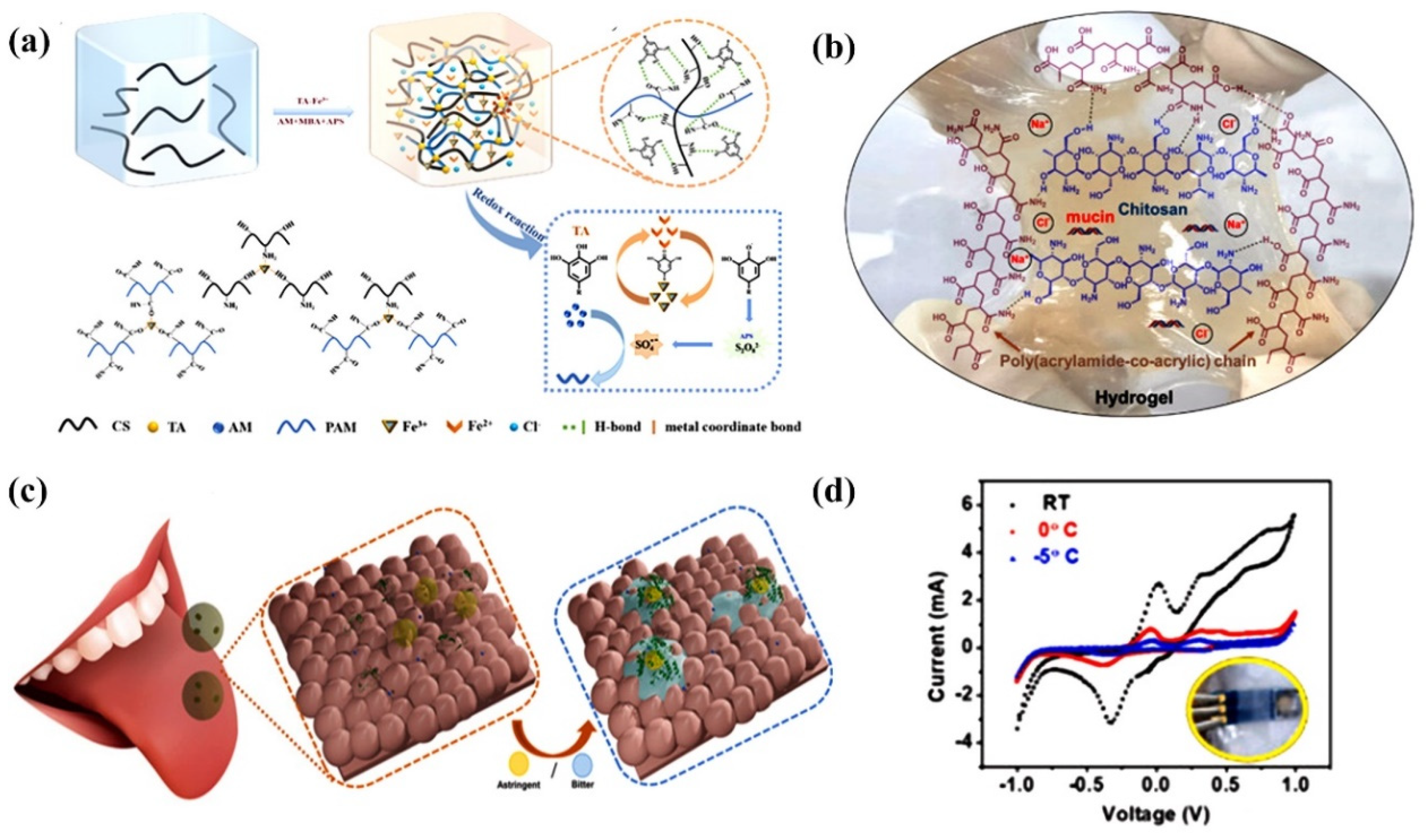 Chemosensors 11 00039 g009