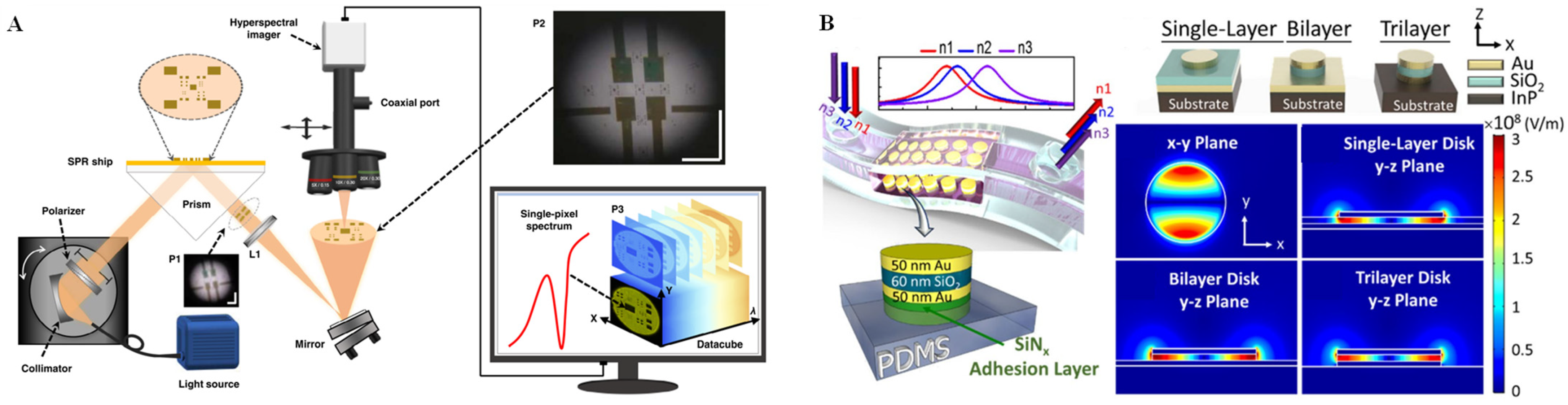 Chemosensors 11 00040 g003