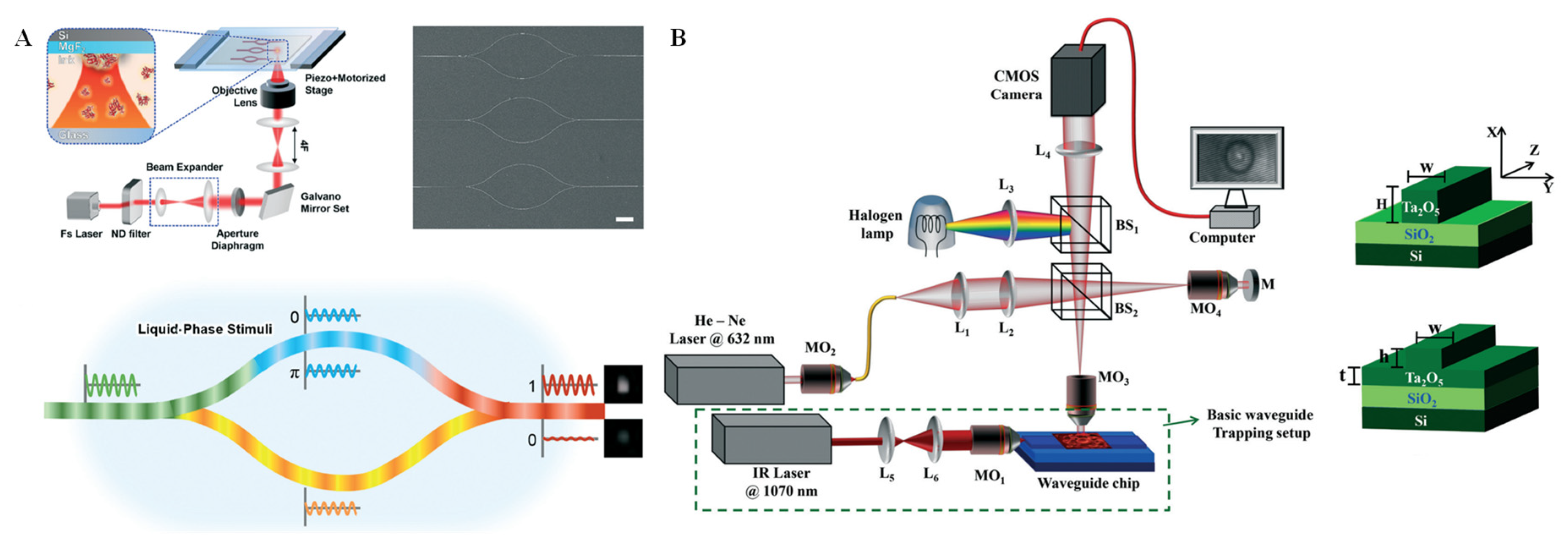 Chemosensors 11 00040 g004