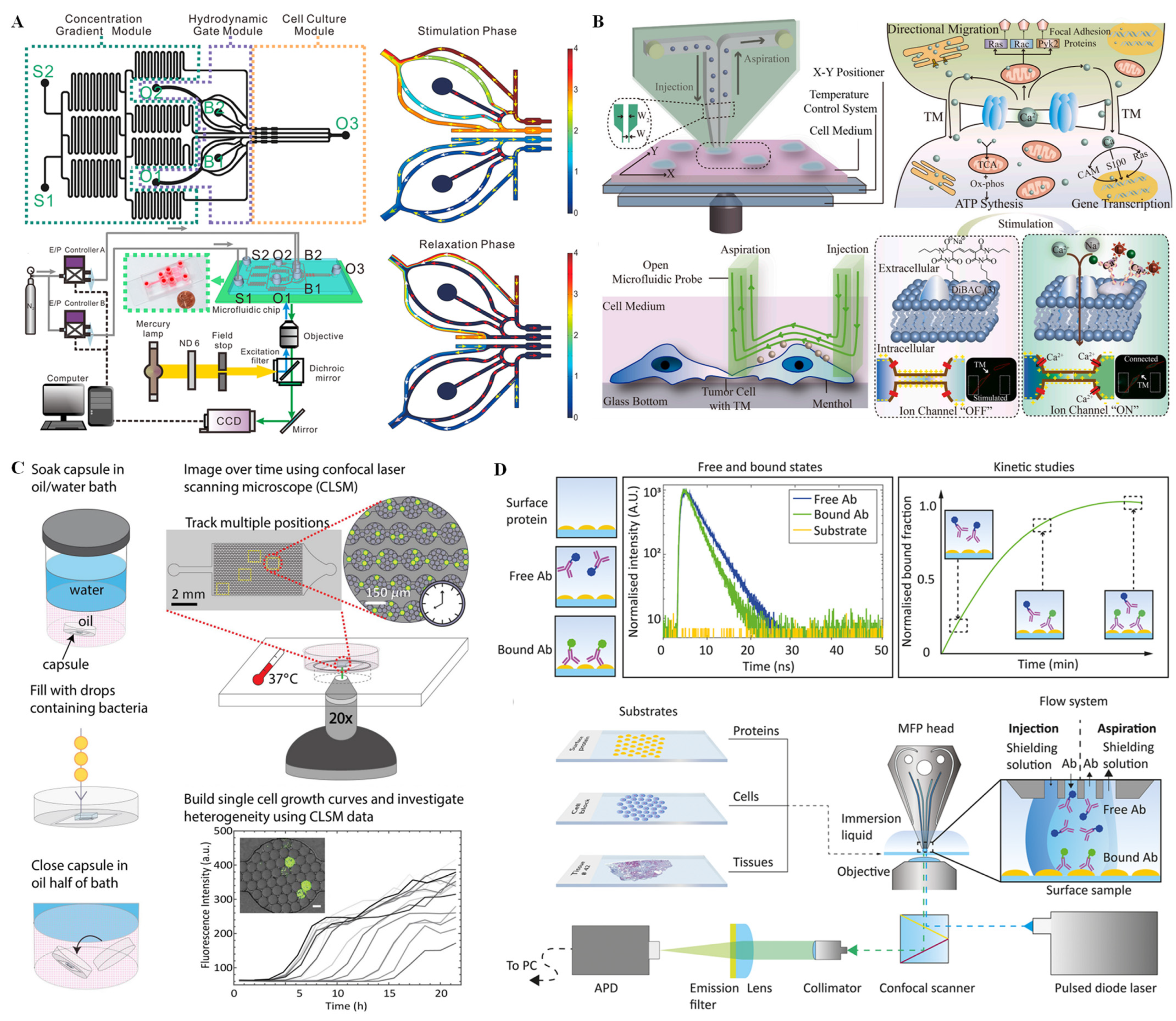 Chemosensors 11 00040 g005