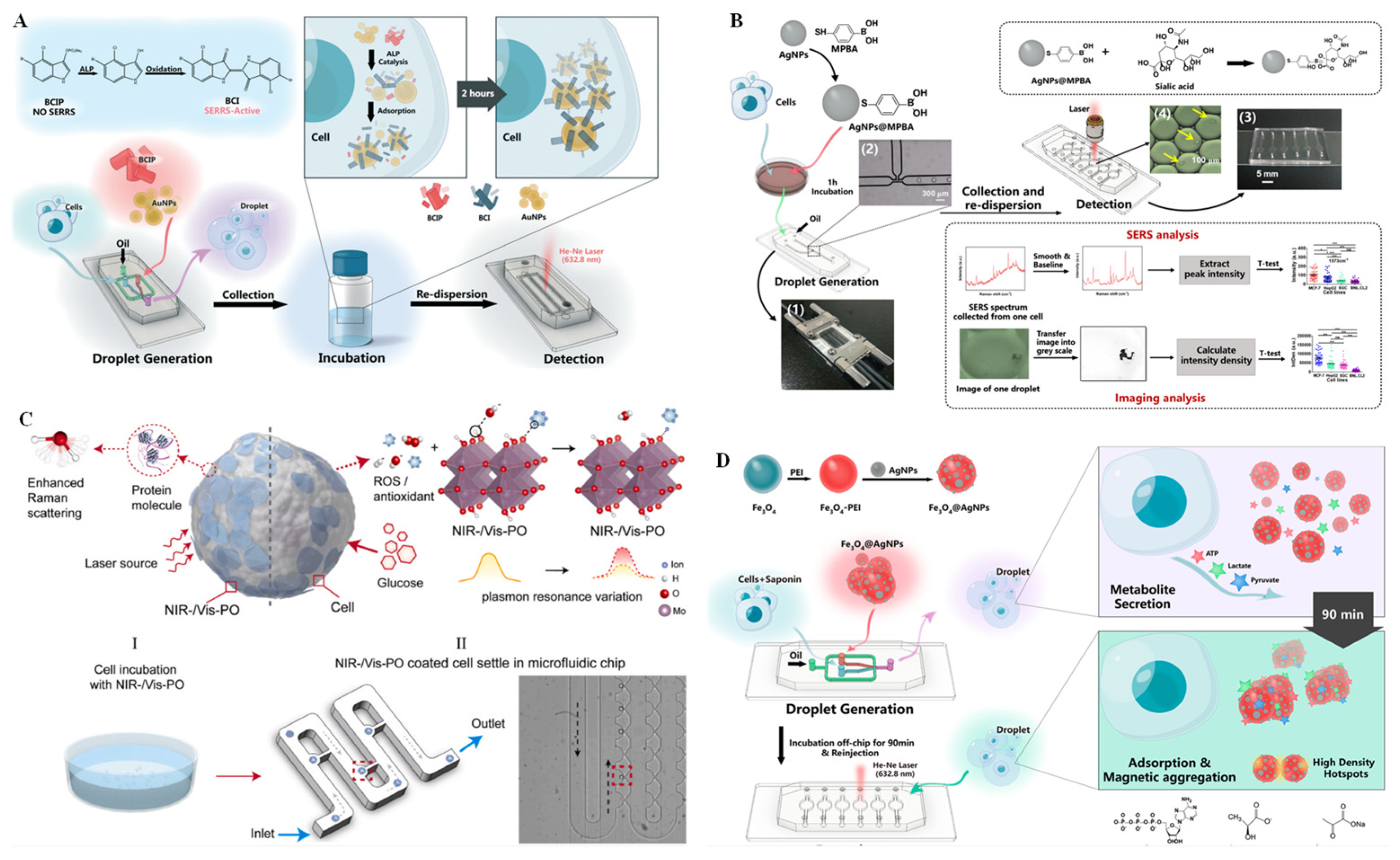 Chemosensors 11 00040 g006
