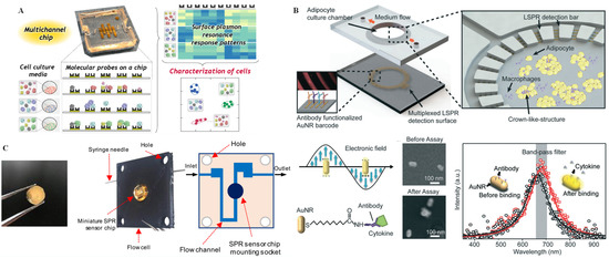 Chemosensors 11 00040 g007