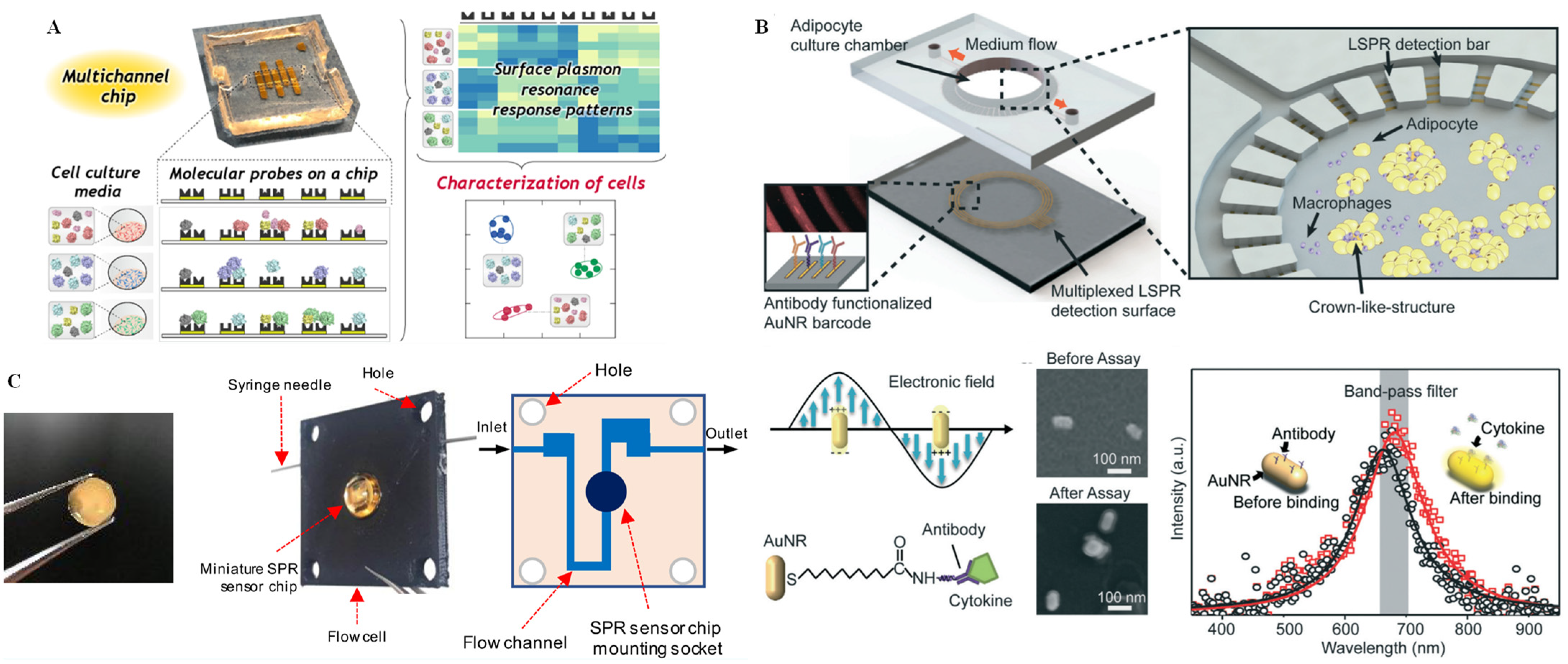 Chemosensors 11 00040 g007