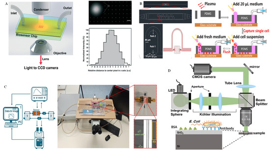Chemosensors 11 00040 g008