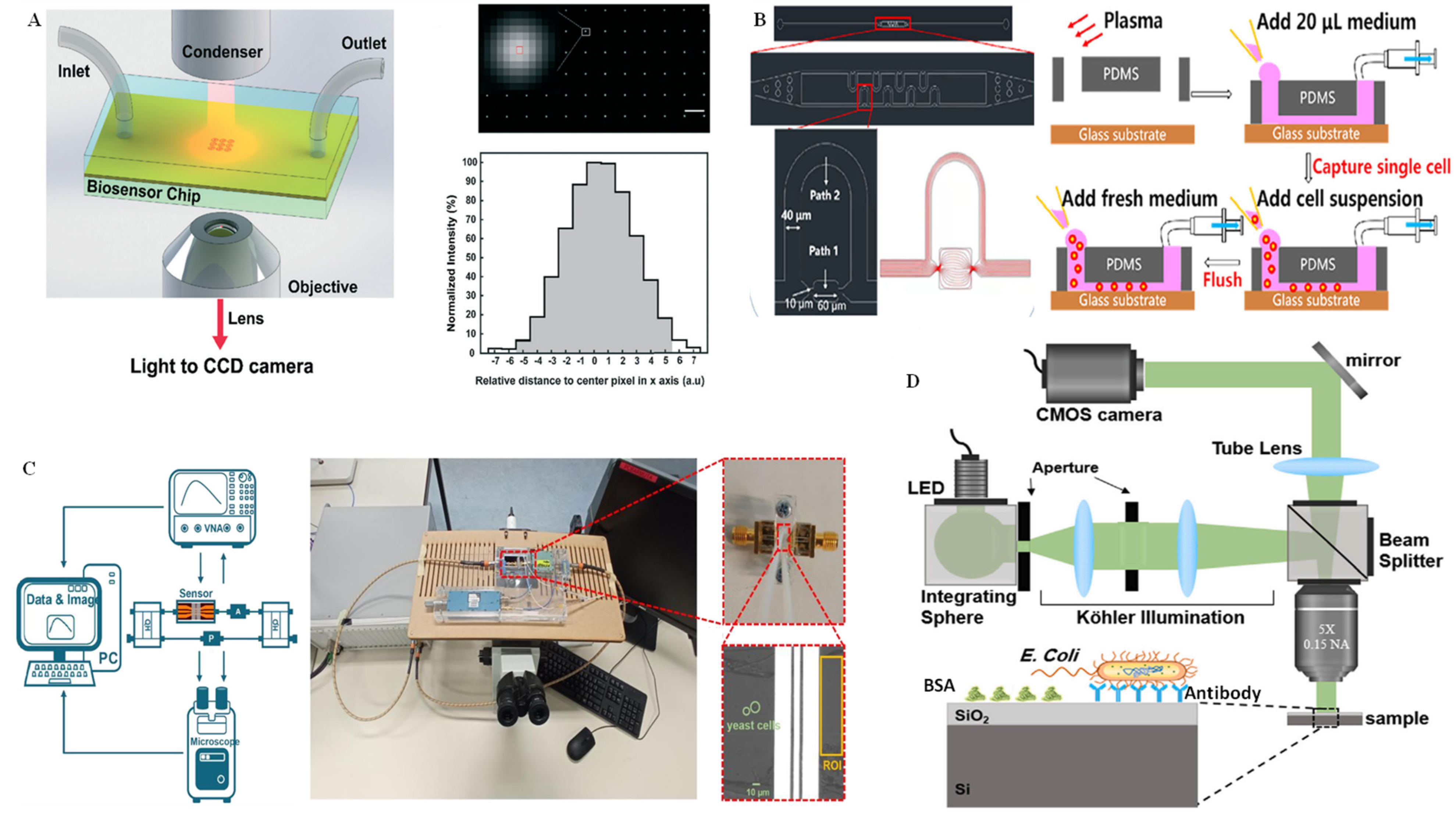 Chemosensors 11 00040 g008