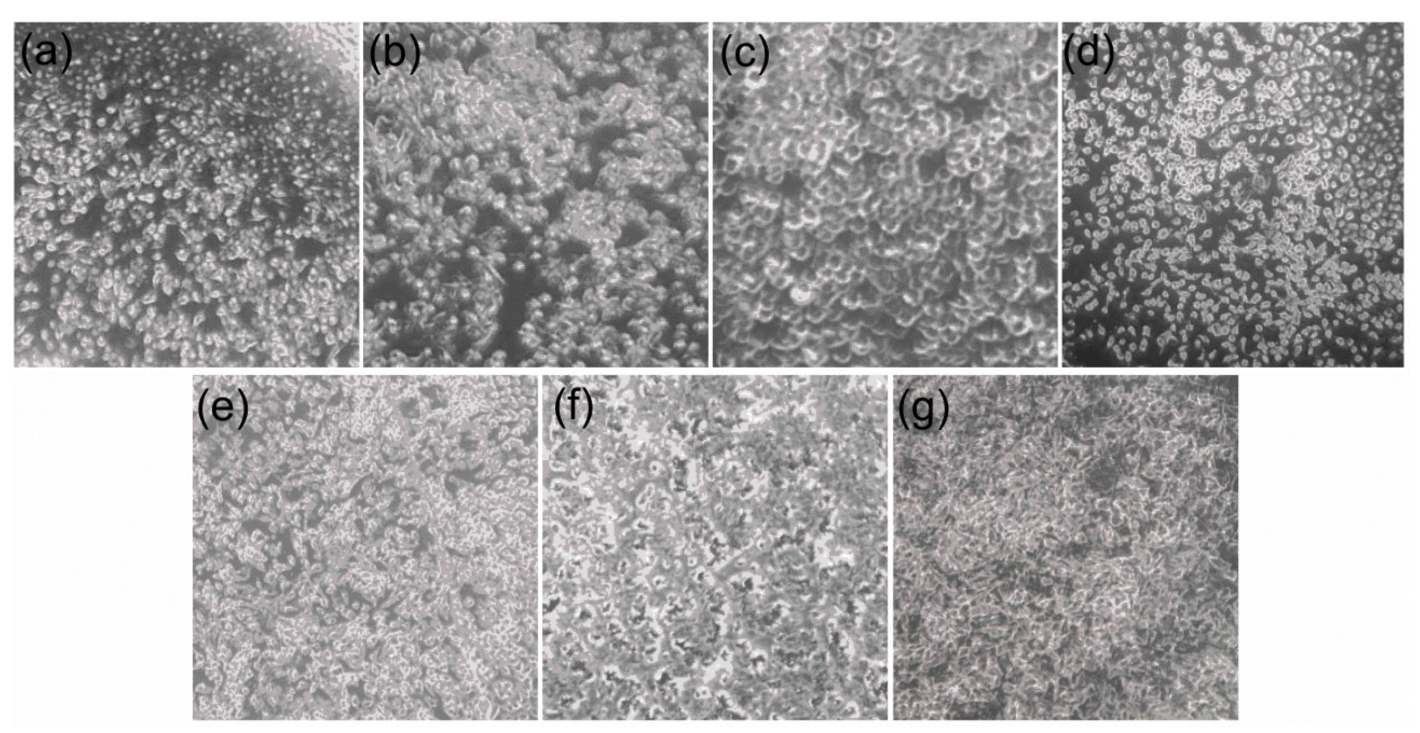 Chemosensors 11 00047 g010