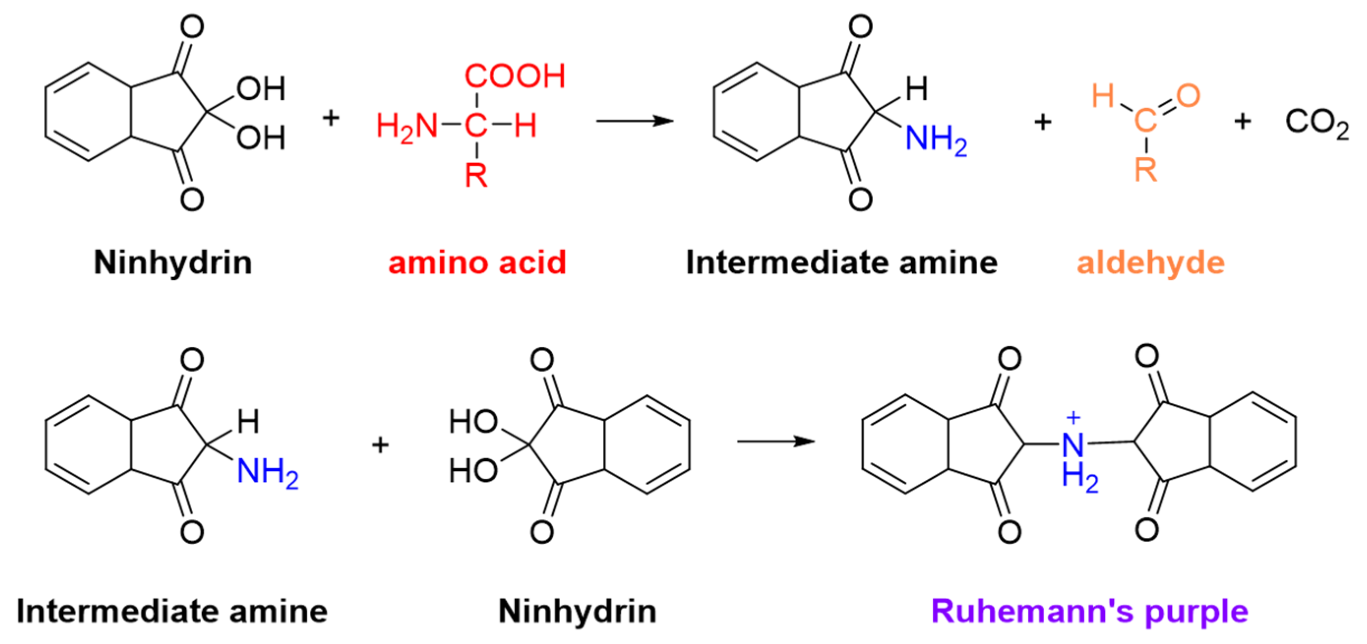 Chemosensors 11 00049 g001