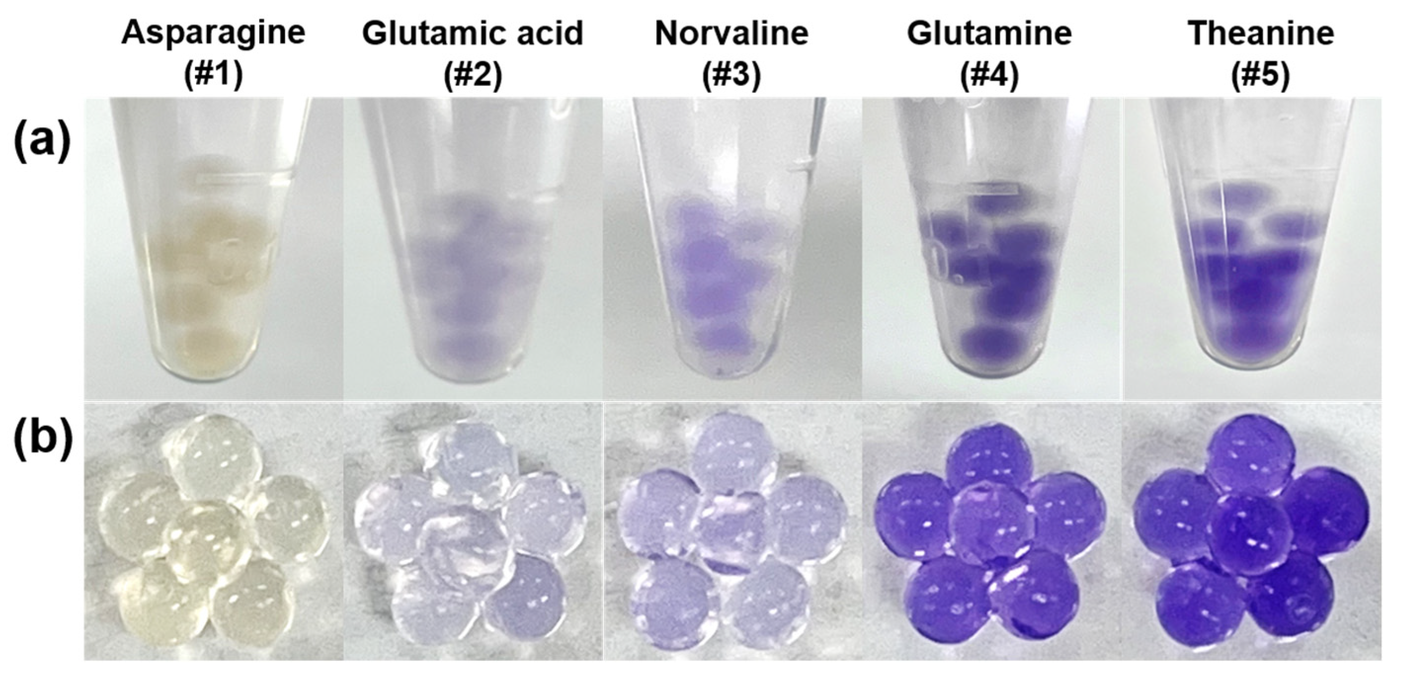Chemosensors 11 00049 g004