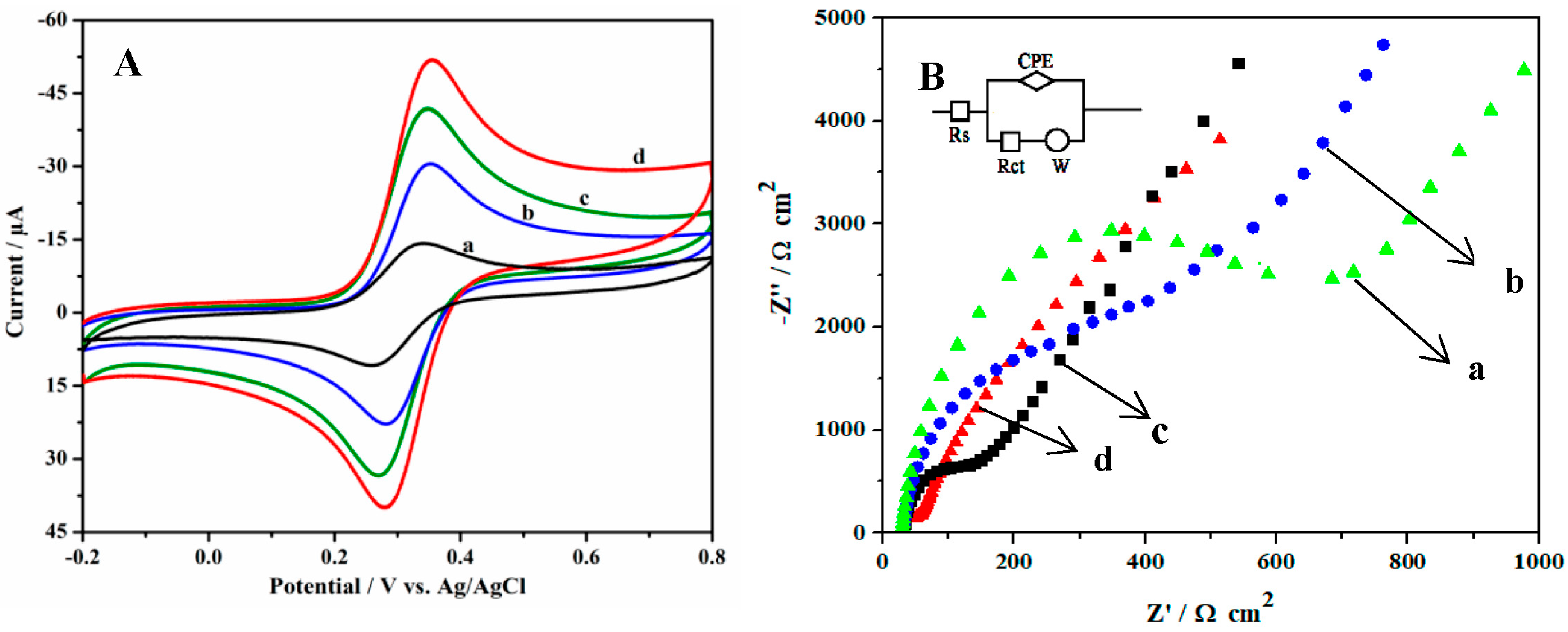 Chemosensors 11 00050 g003