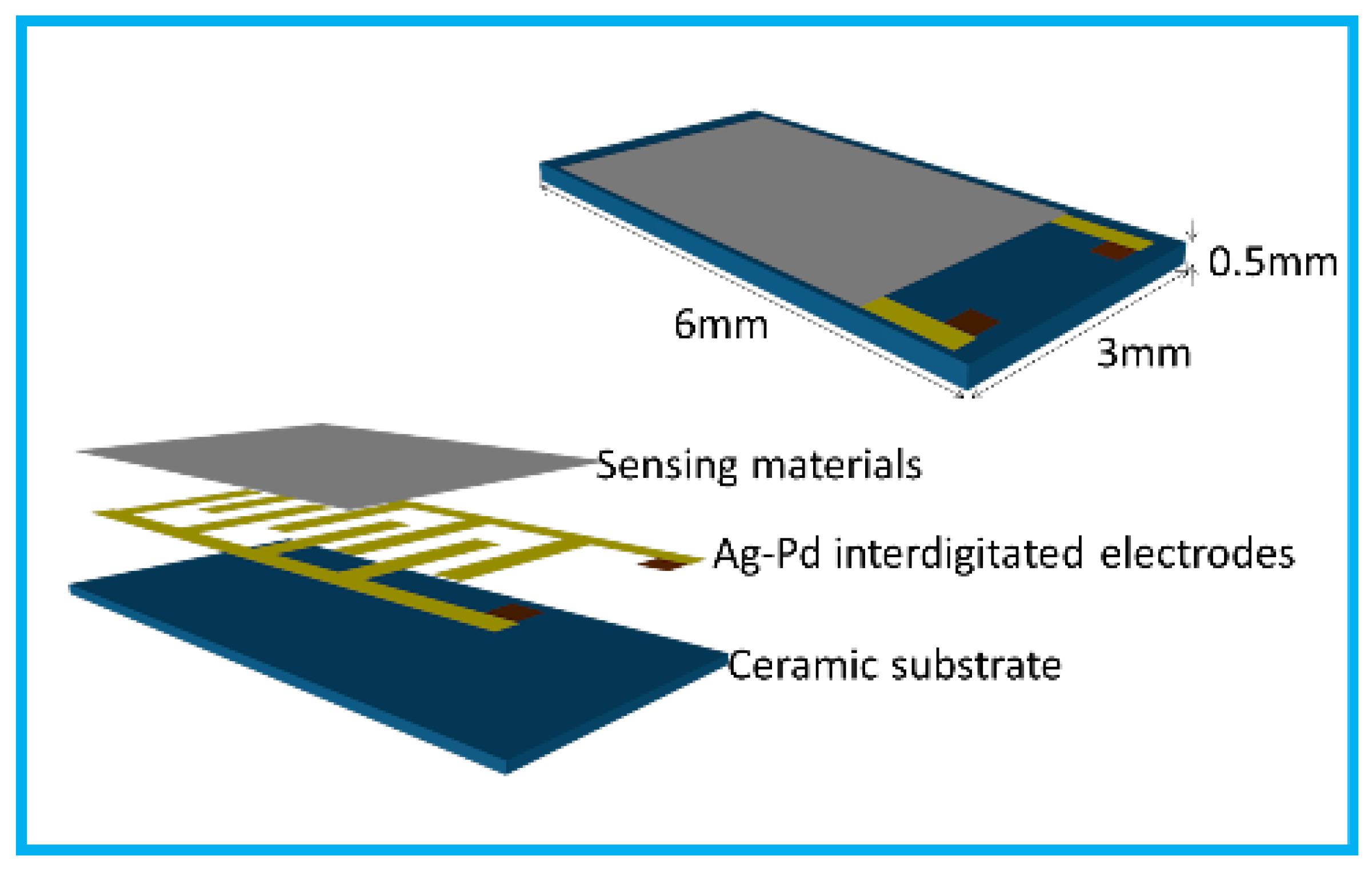 Chemosensors 11 00058 g001
