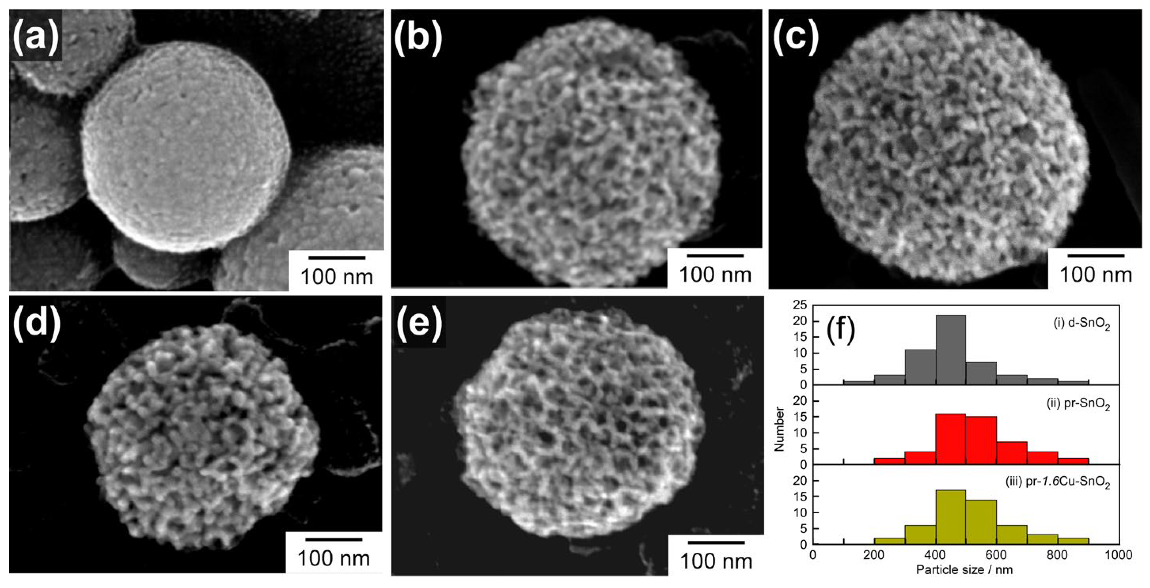 Chemosensors 11 00059 g002