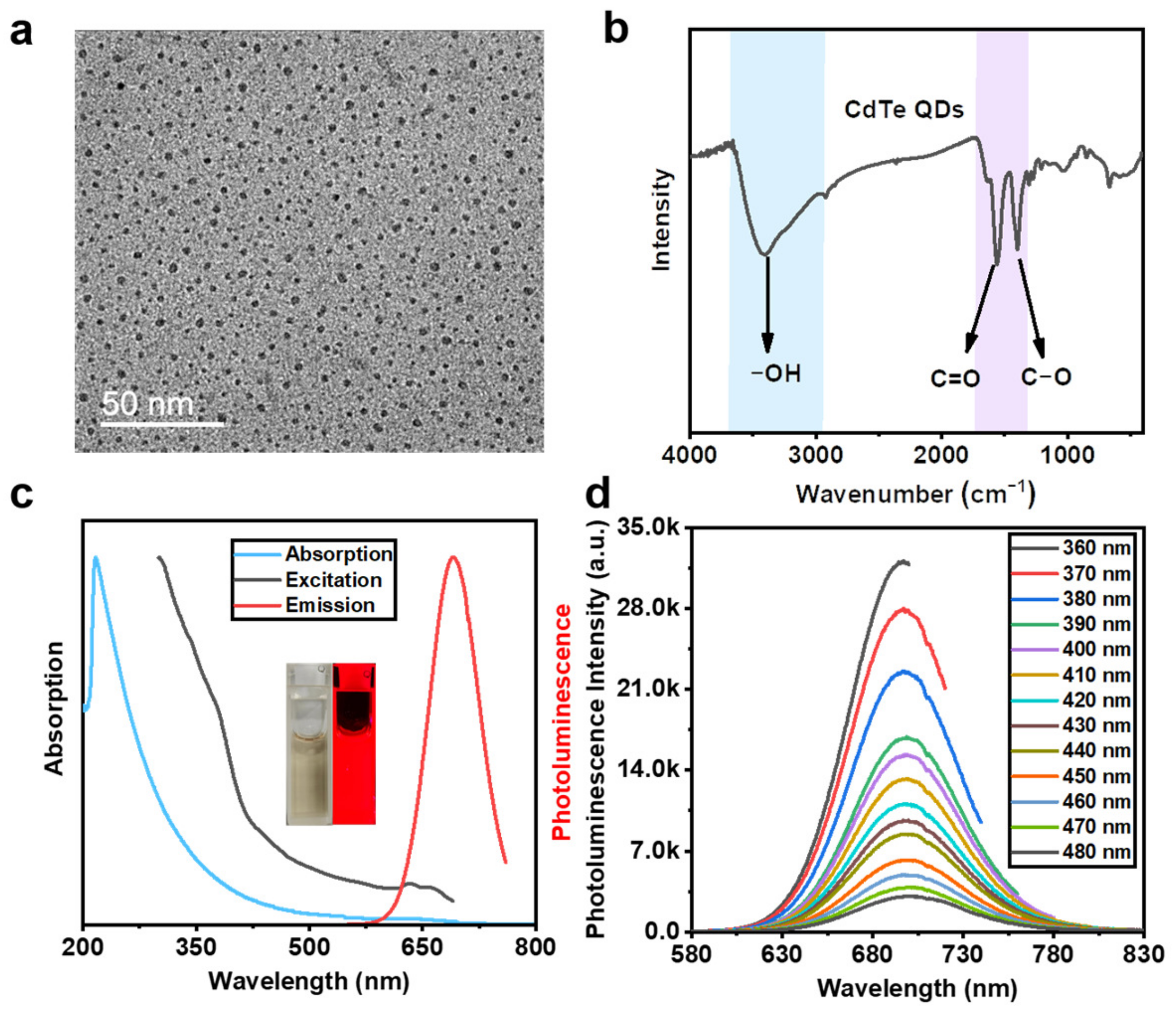 Chemosensors 11 00062 g002