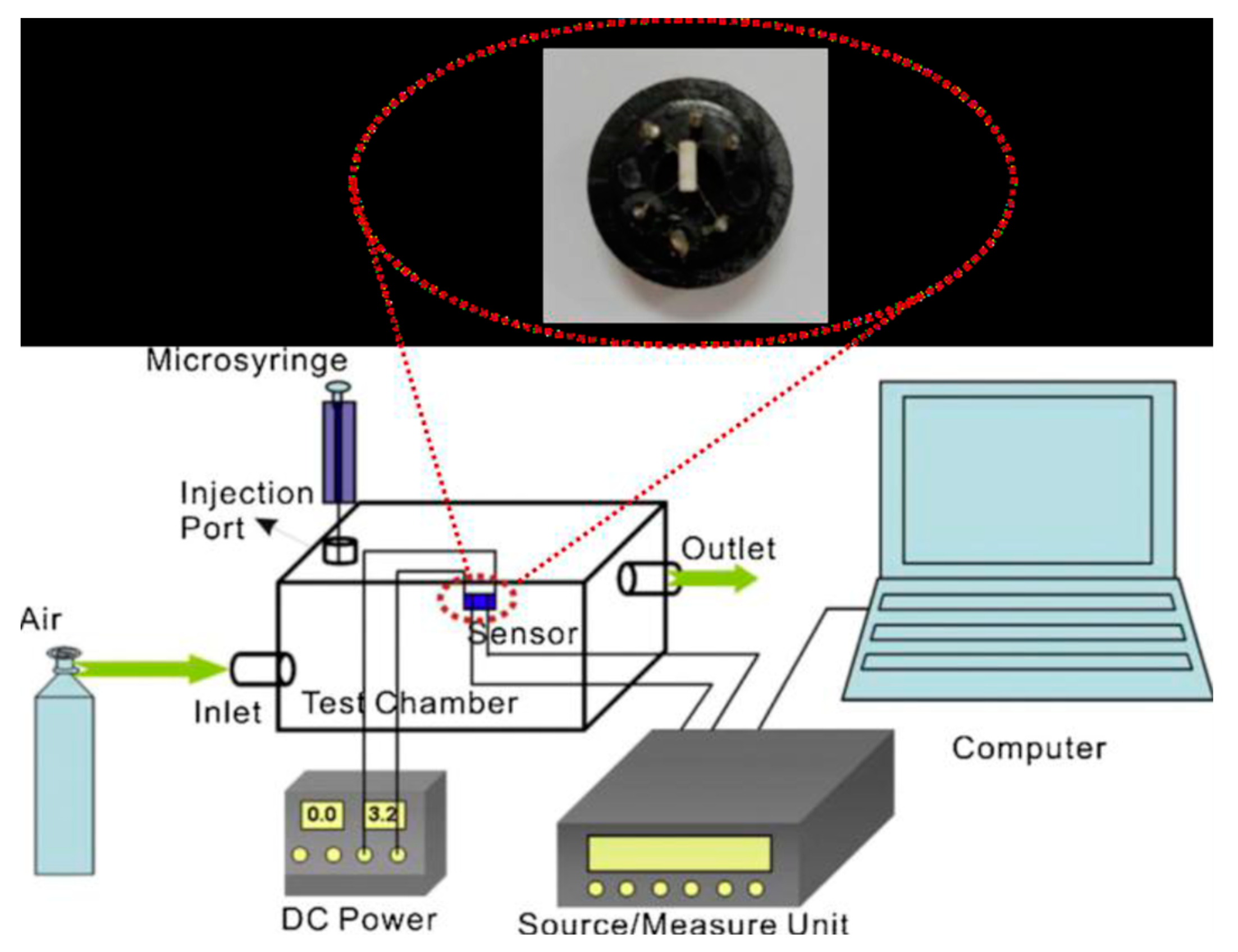 Chemosensors 11 00065 g001 Chemosensors 11 00065 g001
