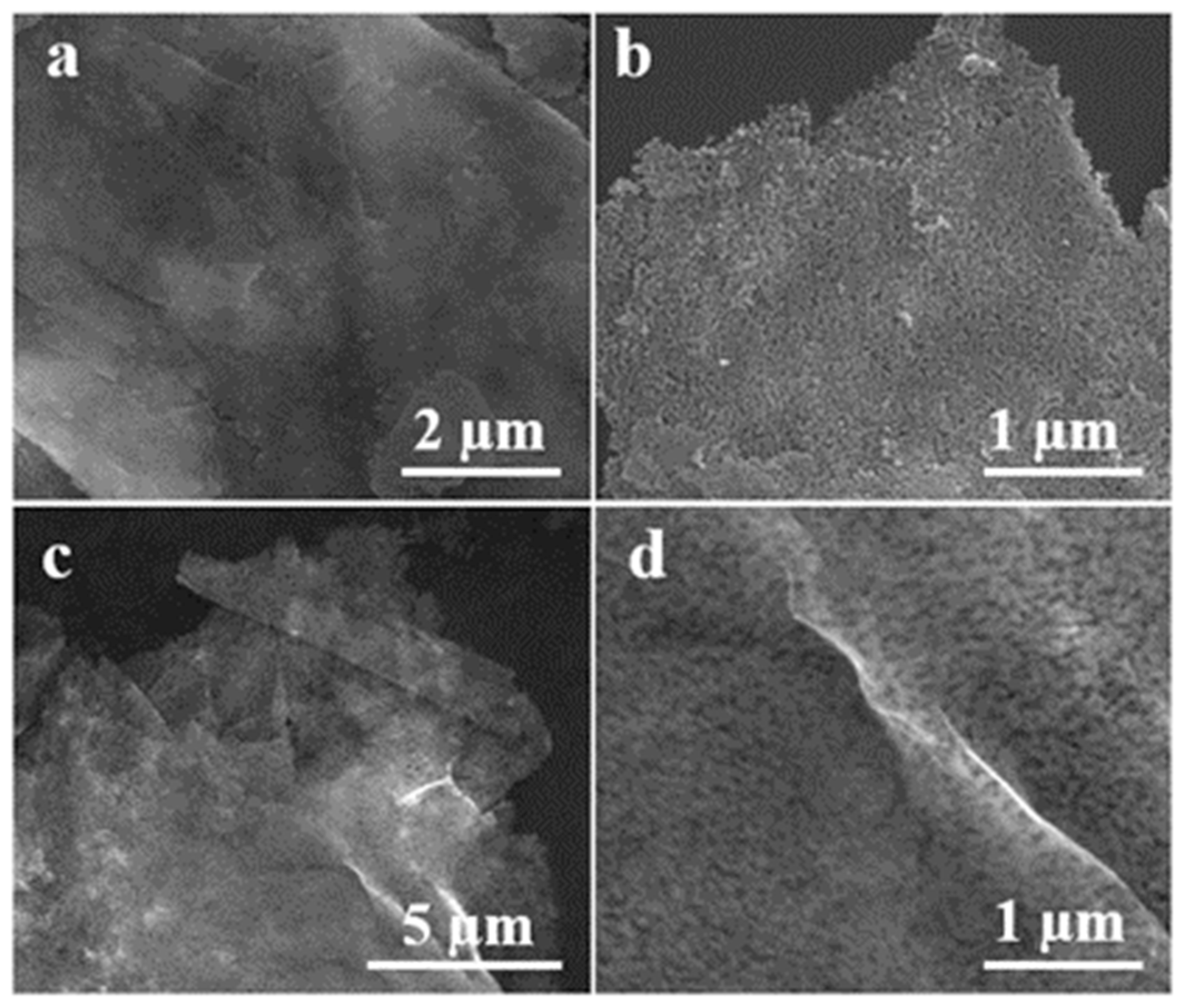 Chemosensors 11 00065 g002 Chemosensors 11 00065 g002