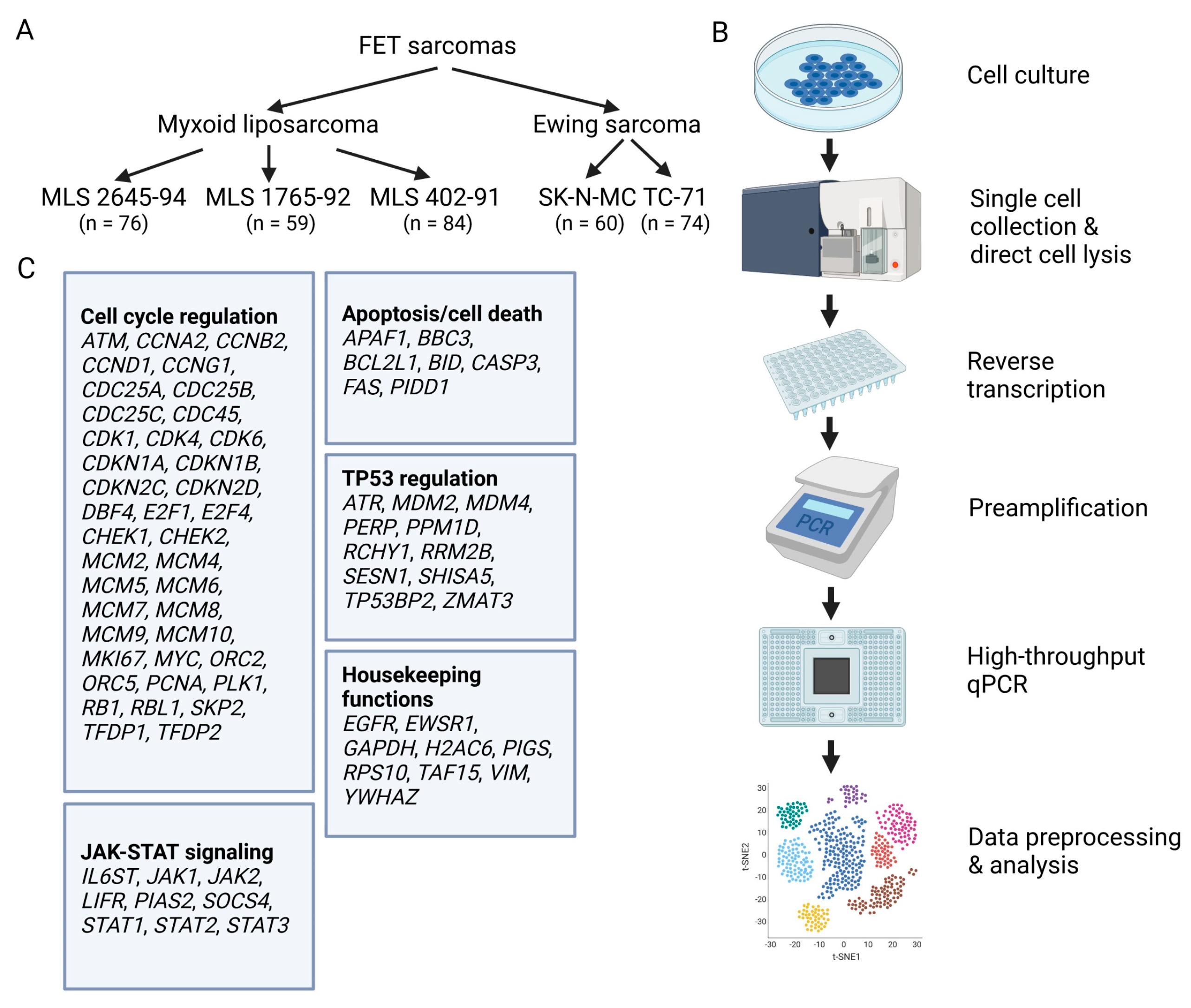 Chemosensors 11 00067 g001 Chemosensors 11 00067 g001