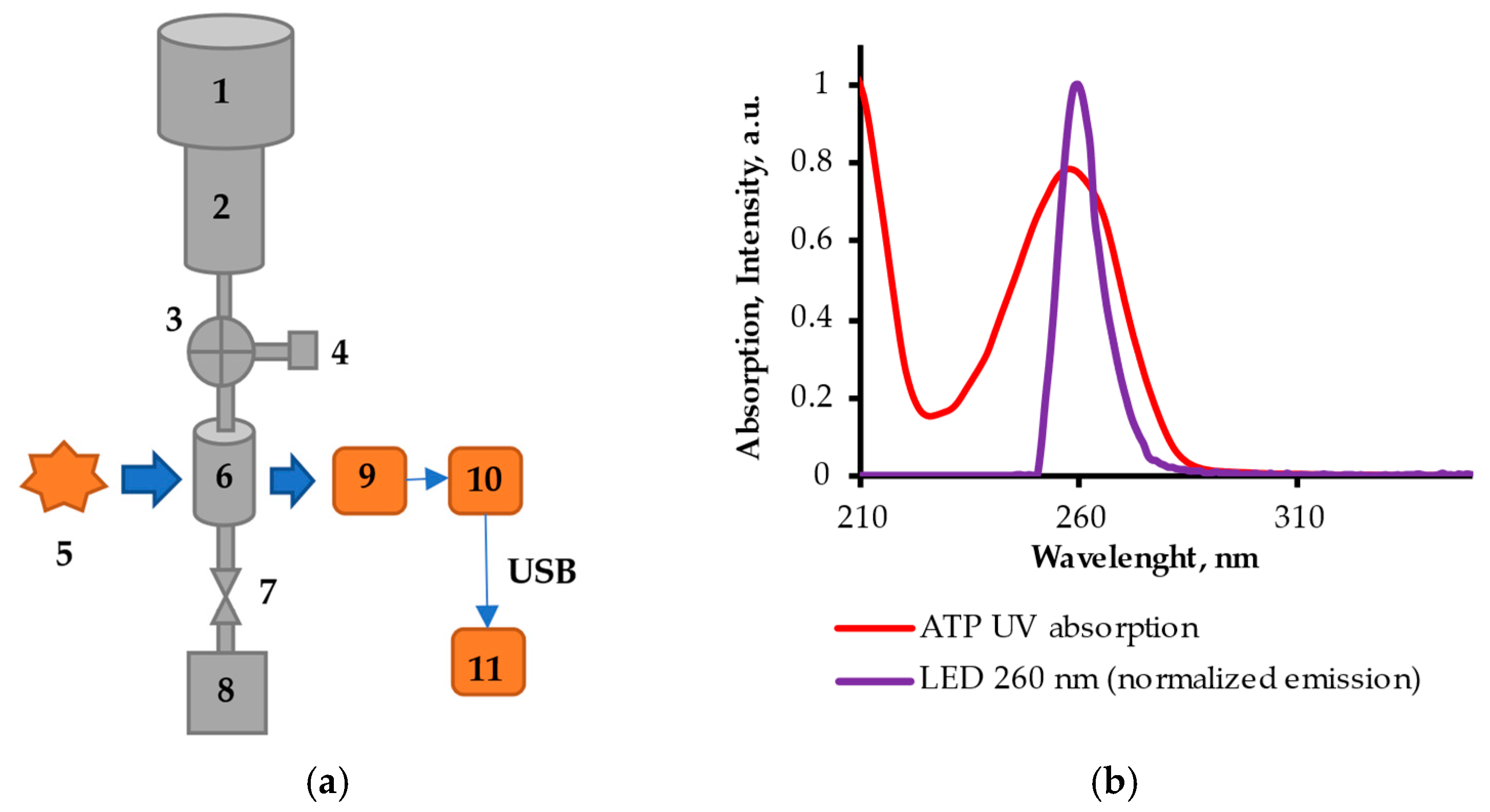 Chemosensors 11 00069 g001