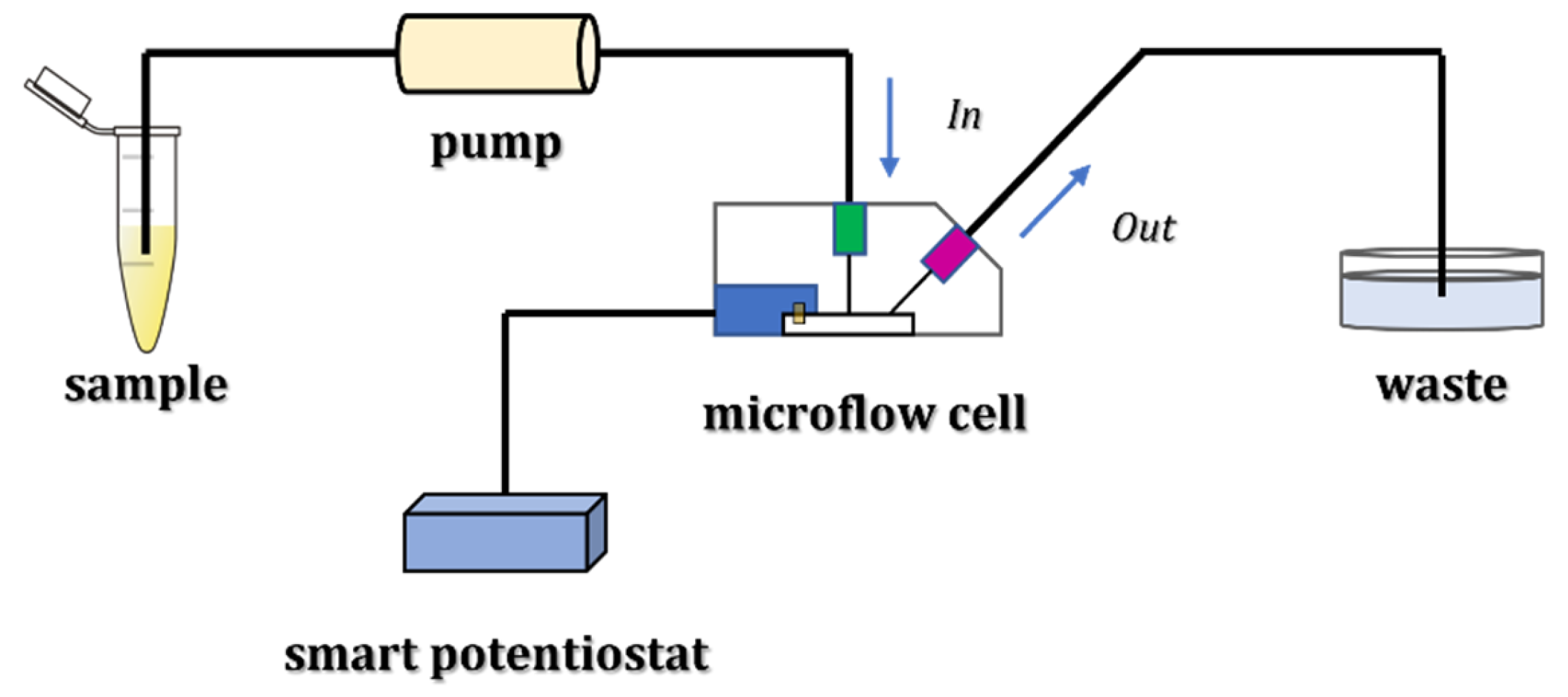 Chemosensors 11 00077 g001