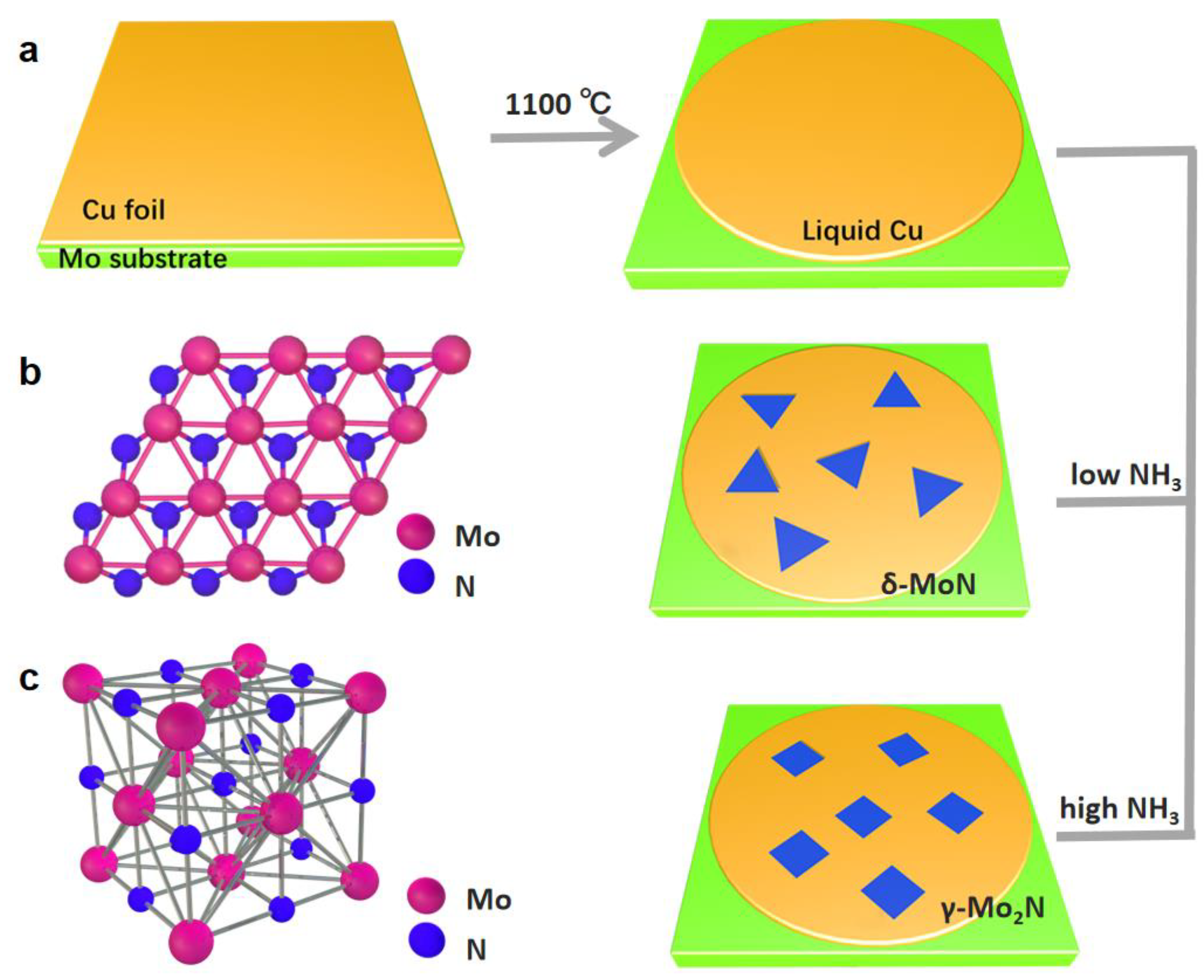 Chemosensors 11 00082 g001
