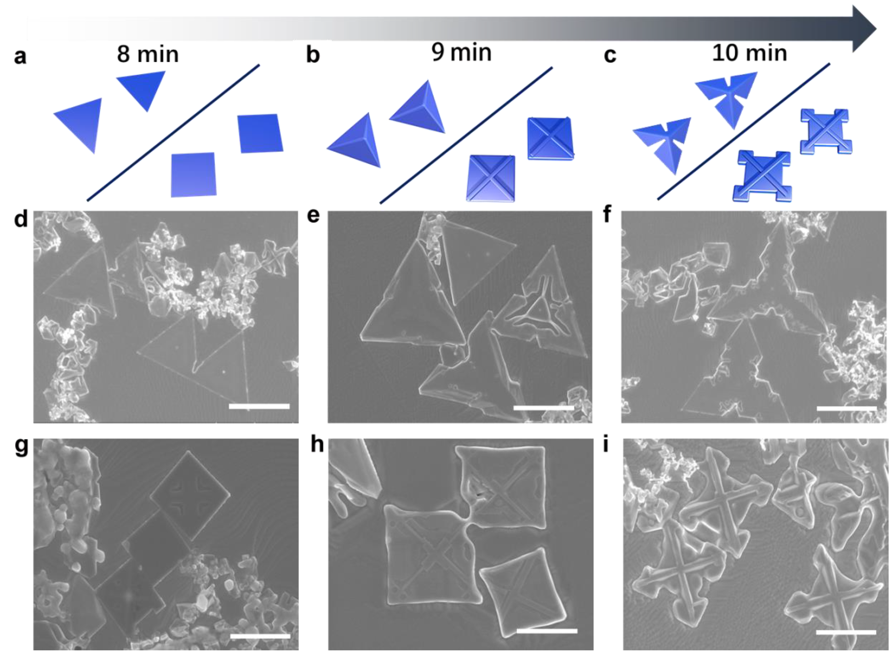 Chemosensors 11 00082 g004