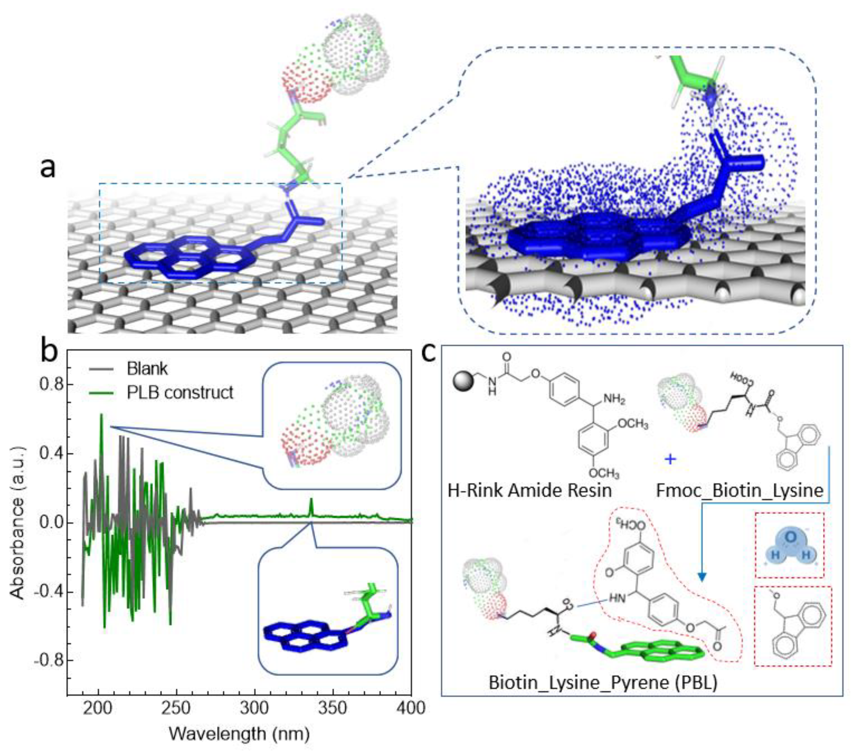 Chemosensors 11 00083 g001