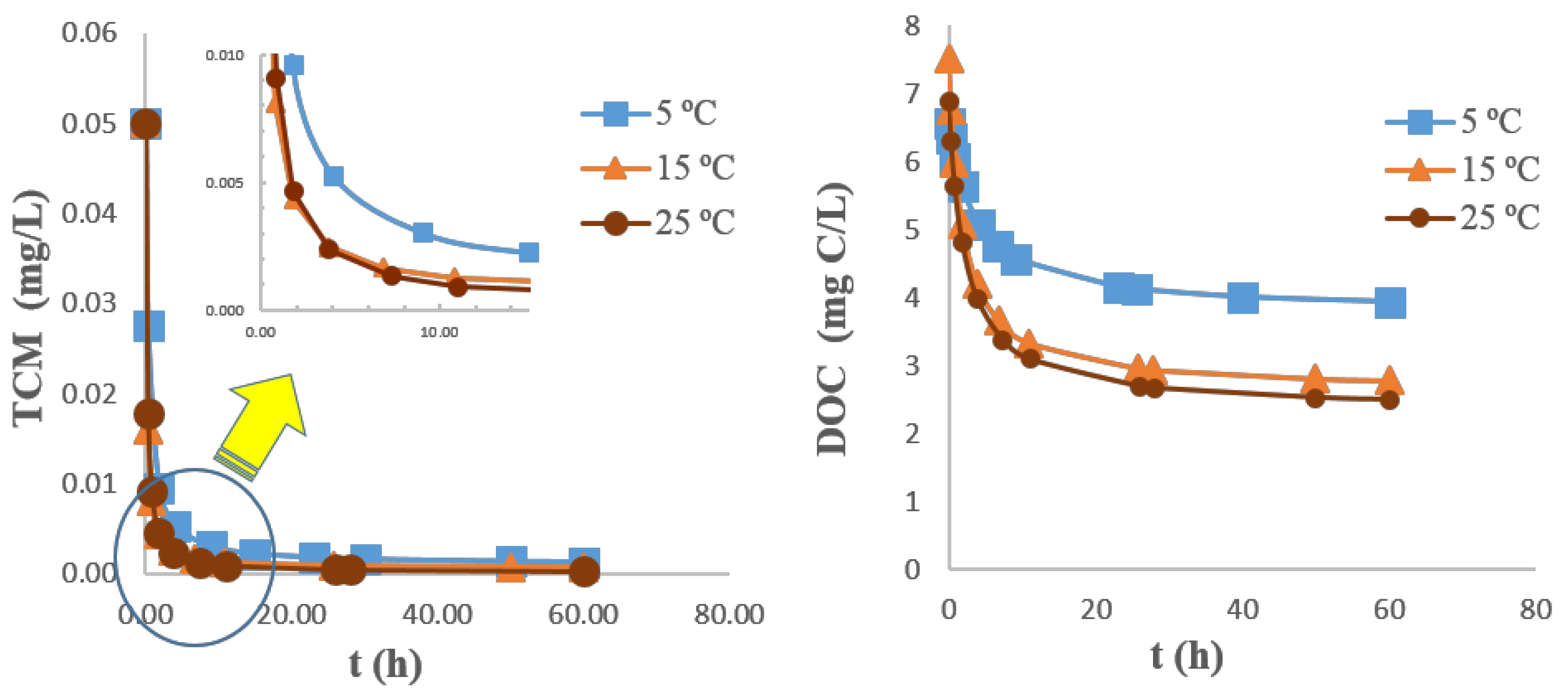 Chemosensors 11 00084 g006