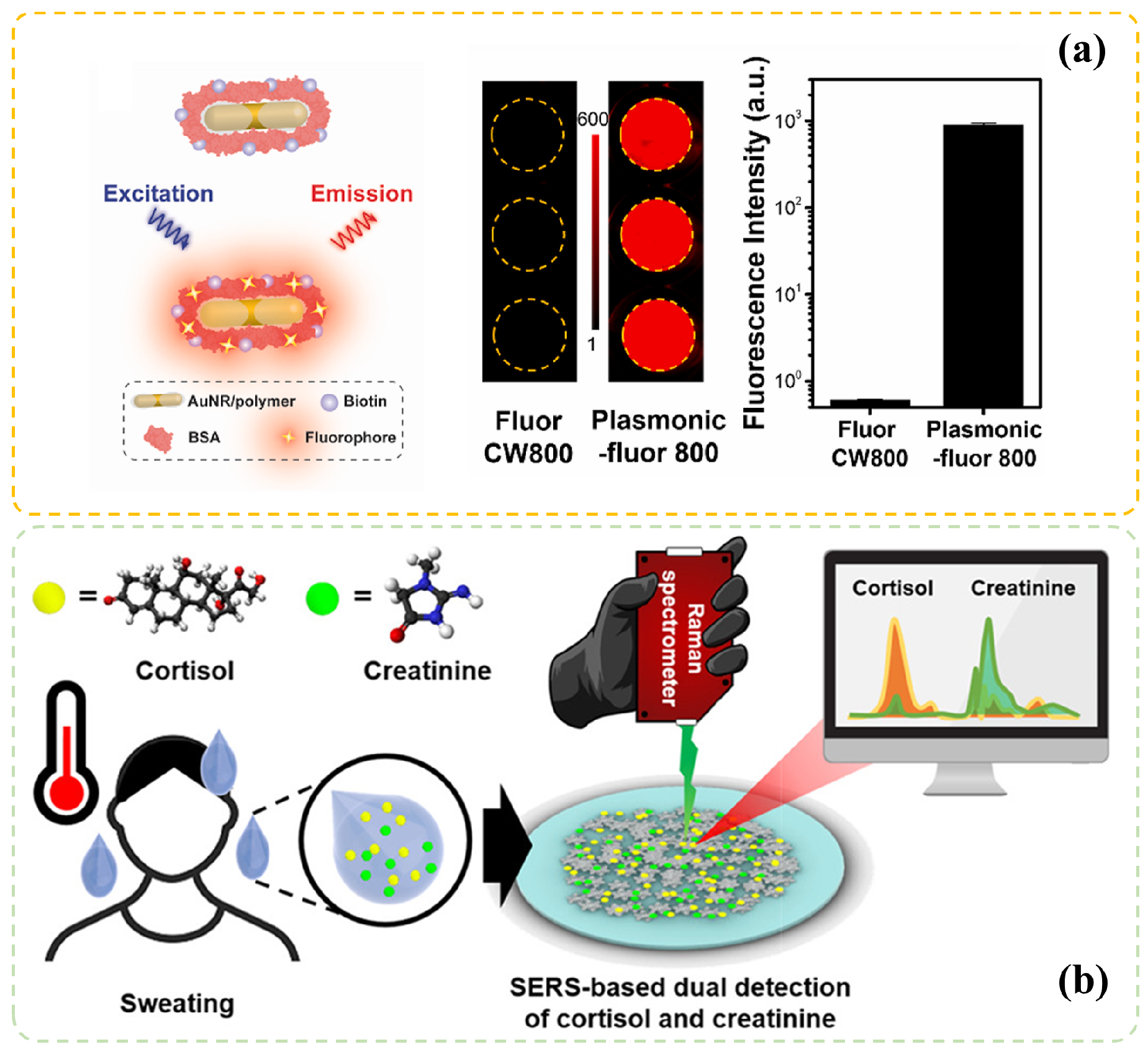Chemosensors 11 00090 g001